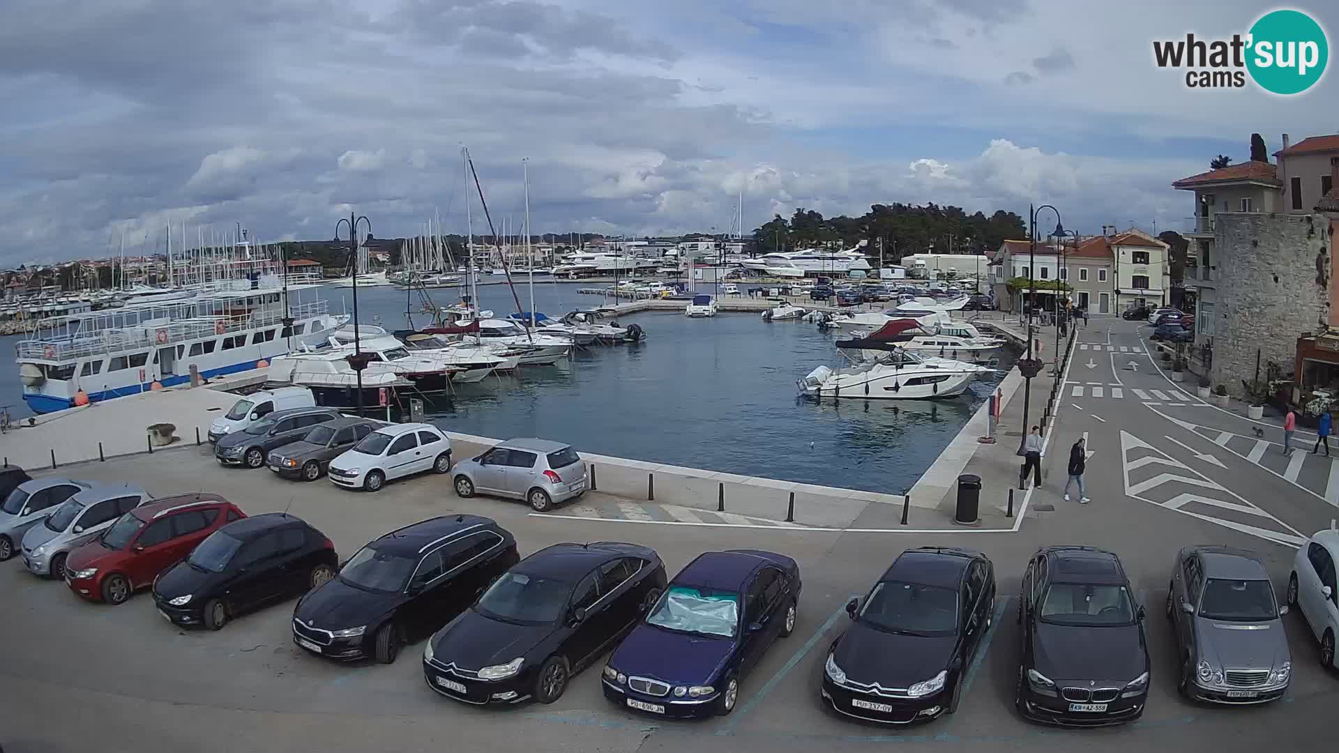 Novigrad | Porporela marina