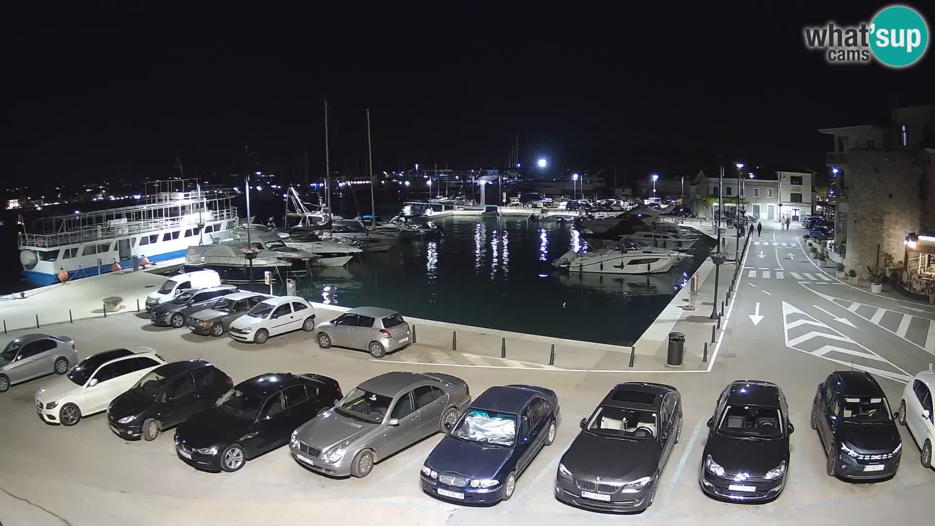 Novigrad | Porporela marina
