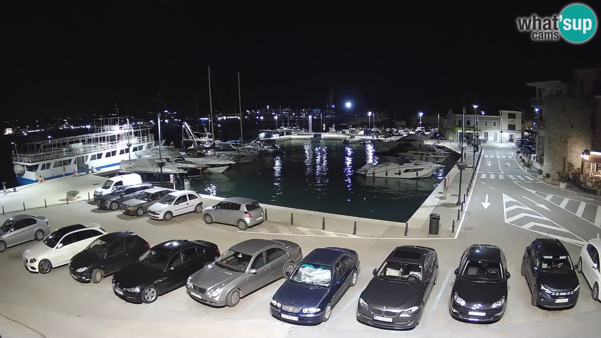 Novigrad | Porporela marina