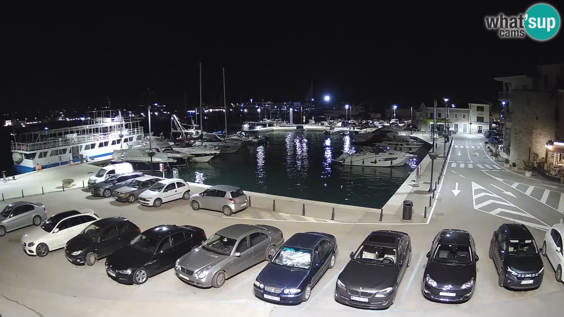 Novigrad | Porporela marina