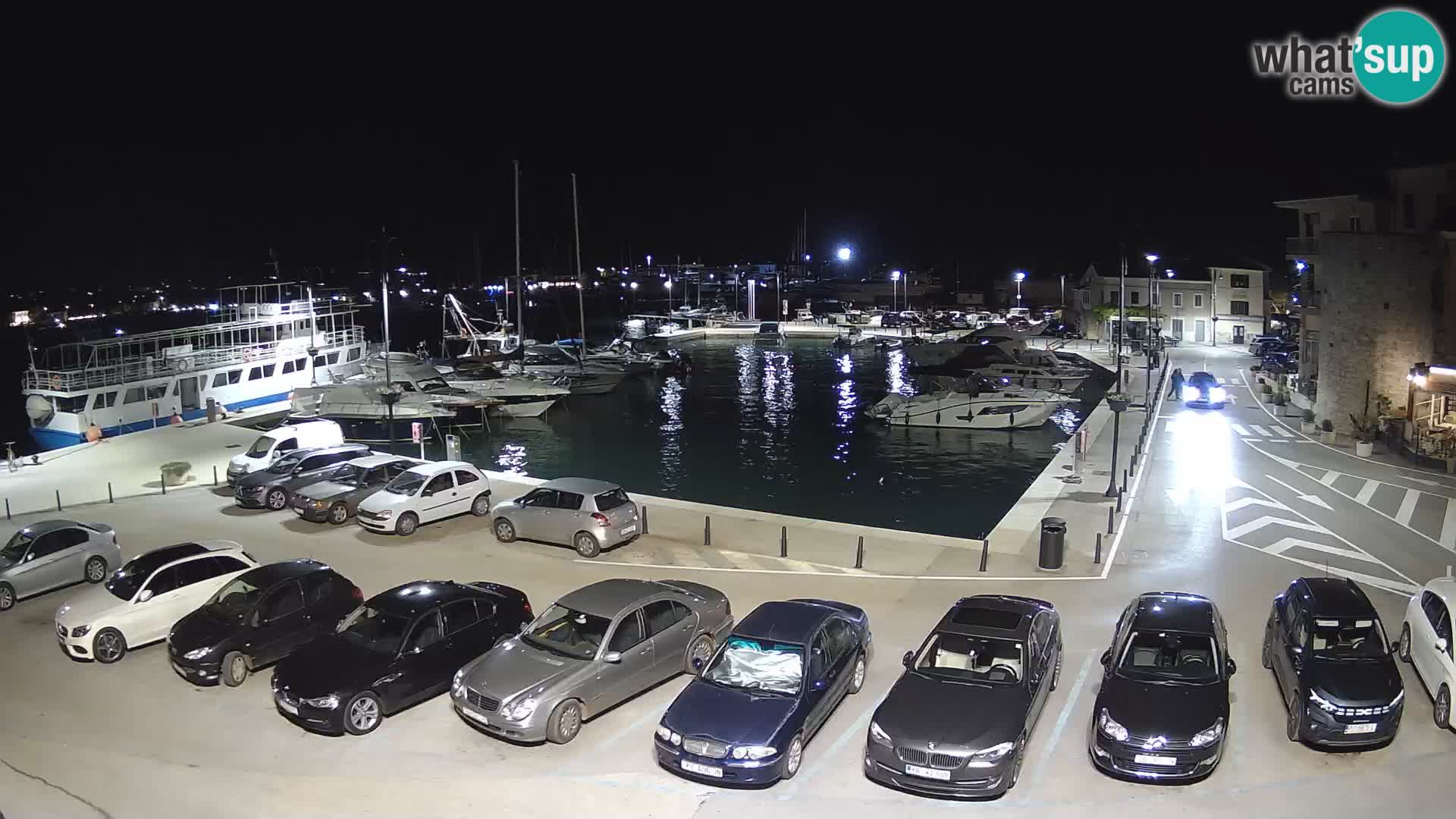 Novigrad | Porporela marina
