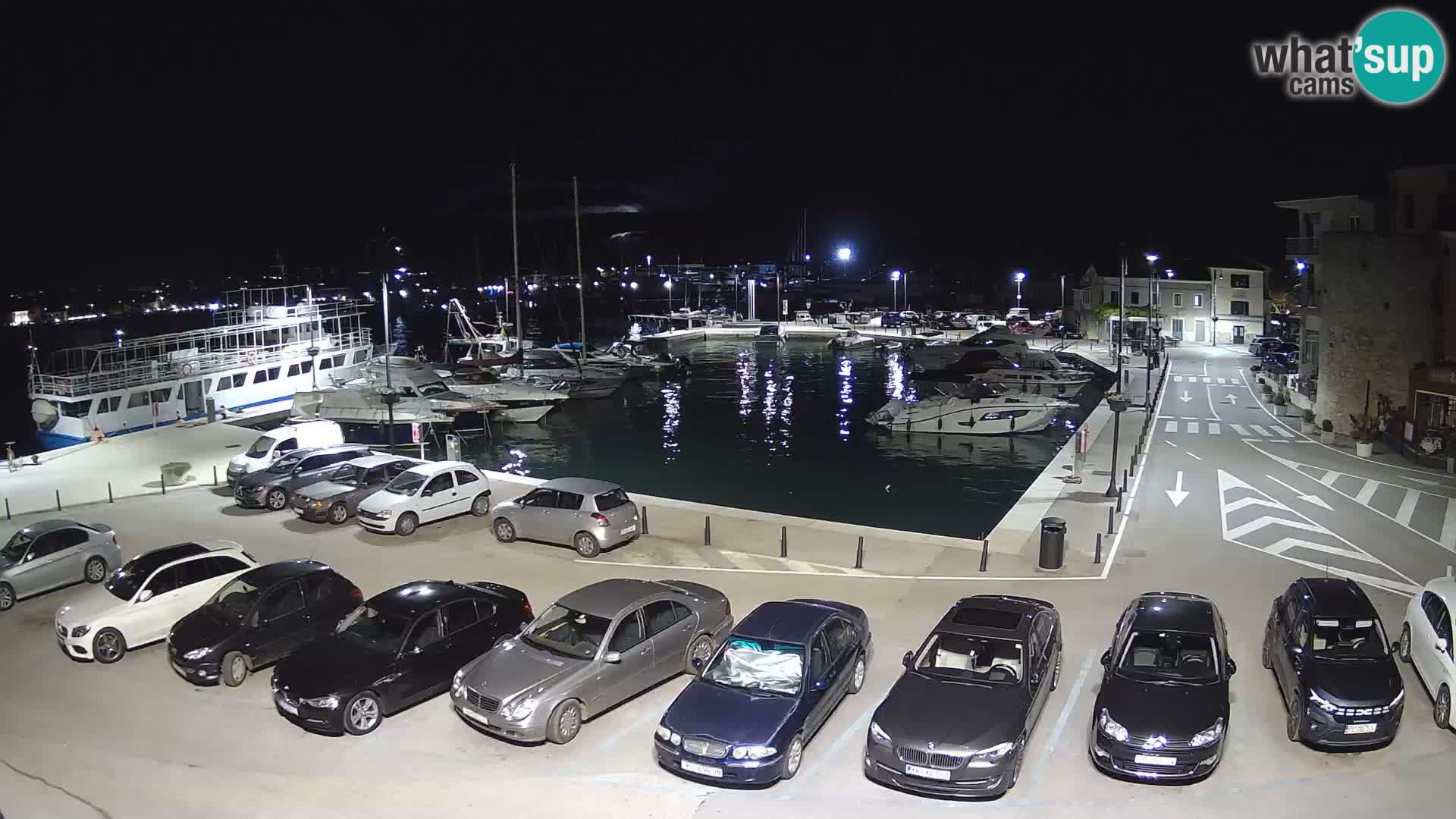 Novigrad | Porporela marina