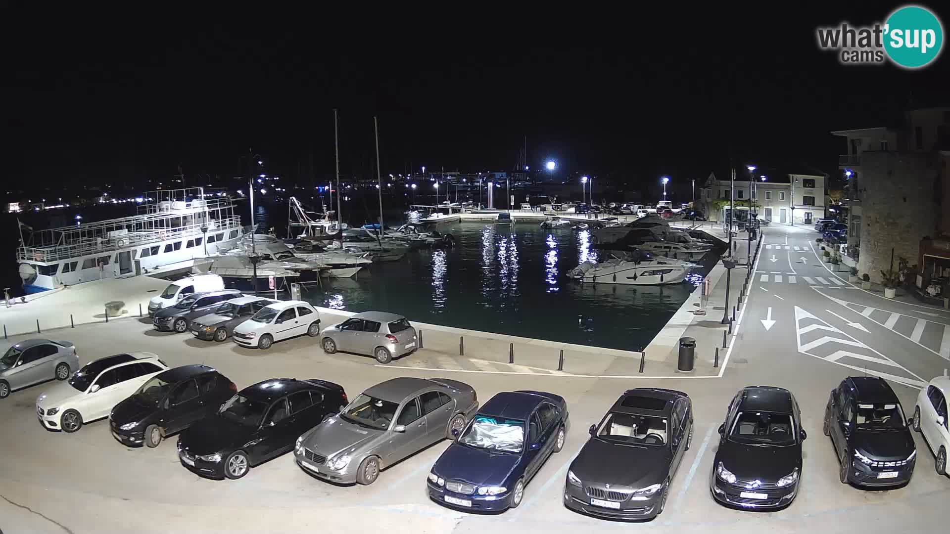Novigrad | Porporela marina