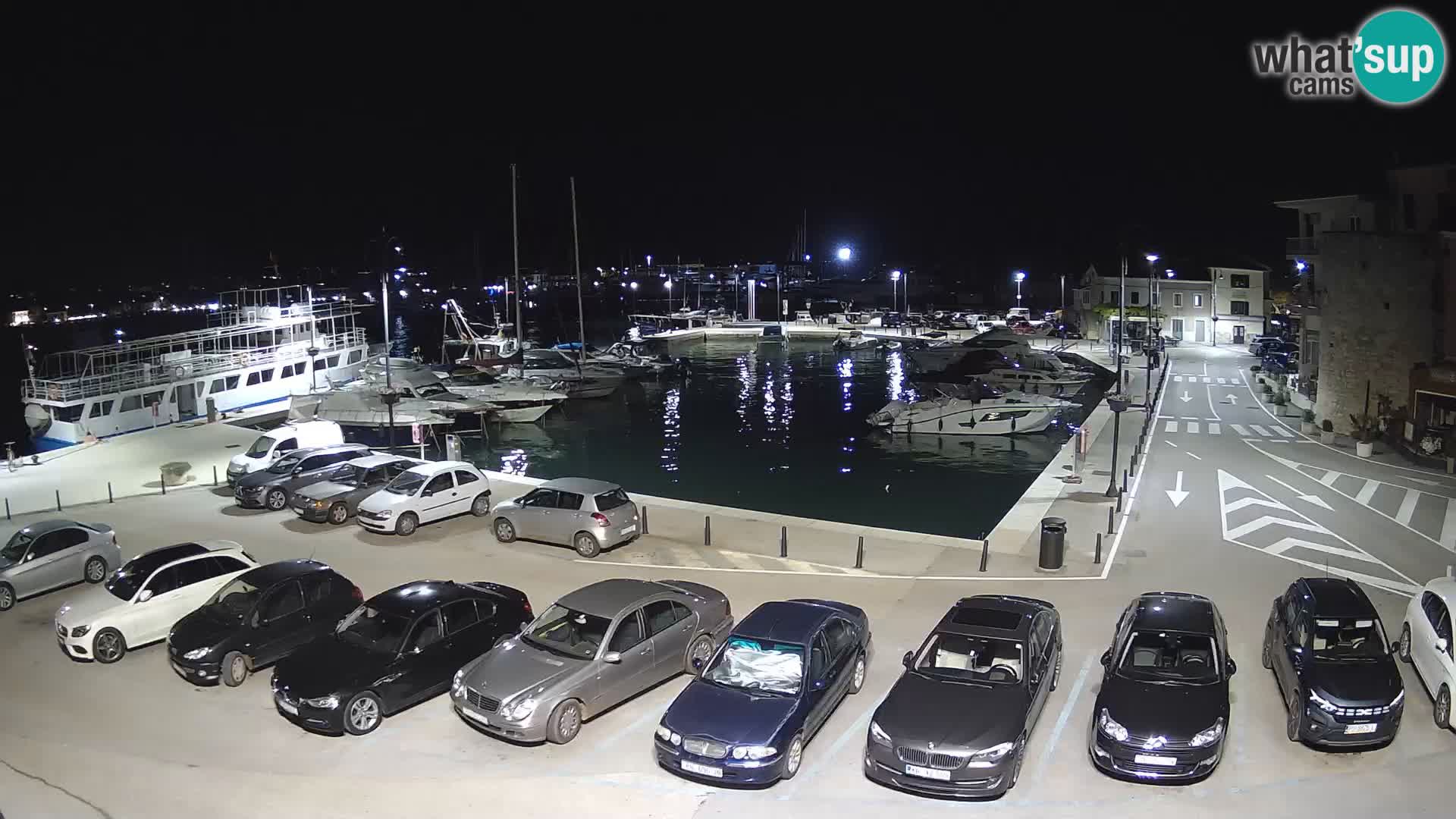 Novigrad | Porporela marina