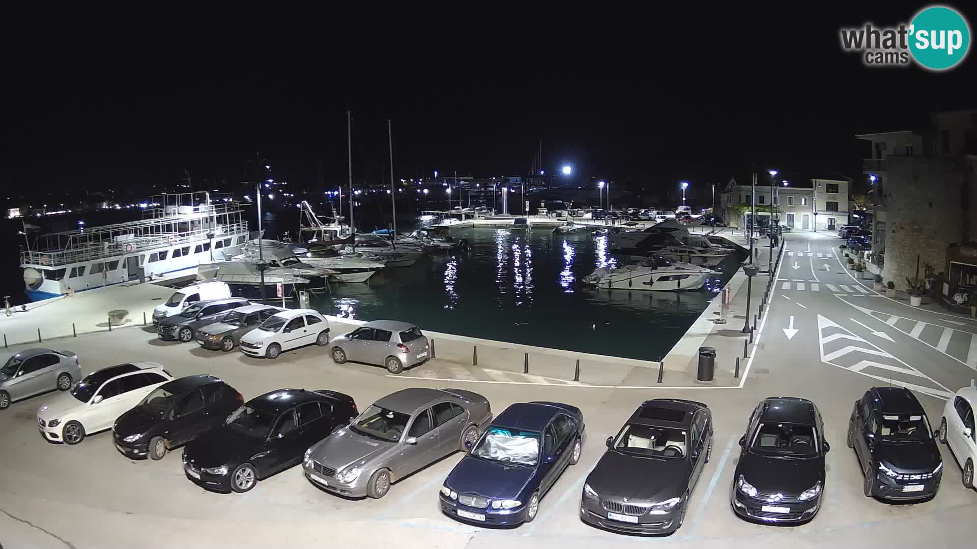 Novigrad | Porporela marina