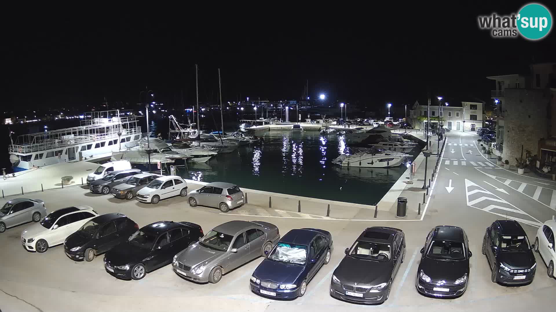 Novigrad | Porporela marina