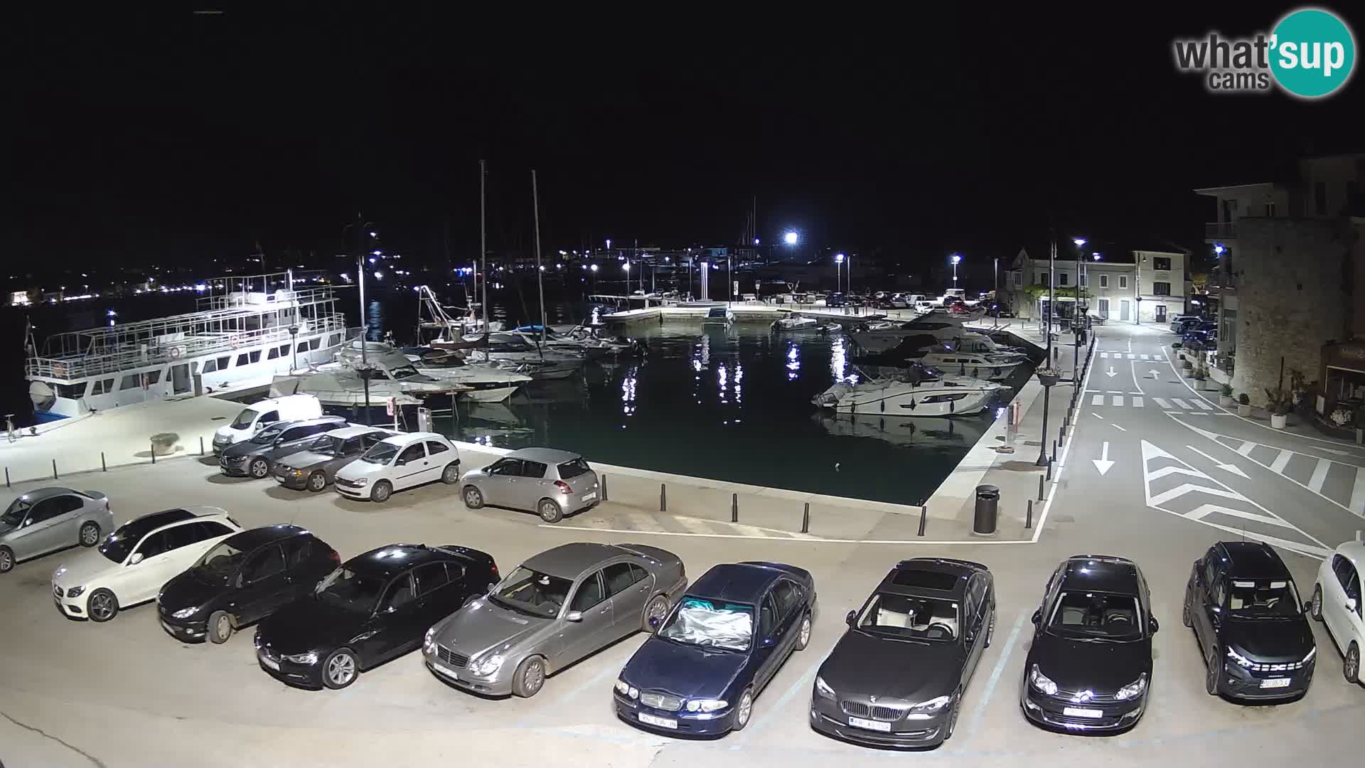 Novigrad | Porporela marina