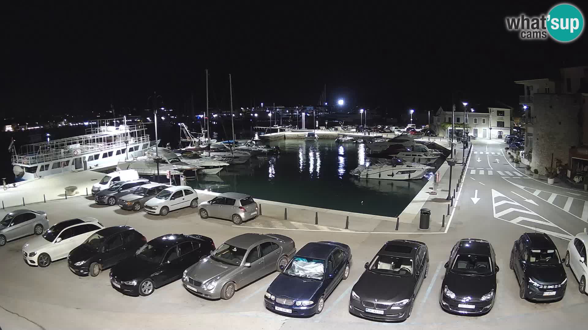 Novigrad | Porporela marina
