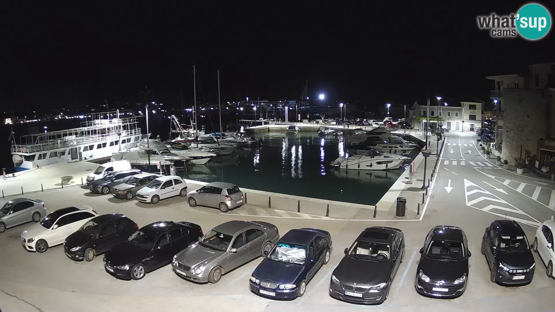 Novigrad | Porporela marina