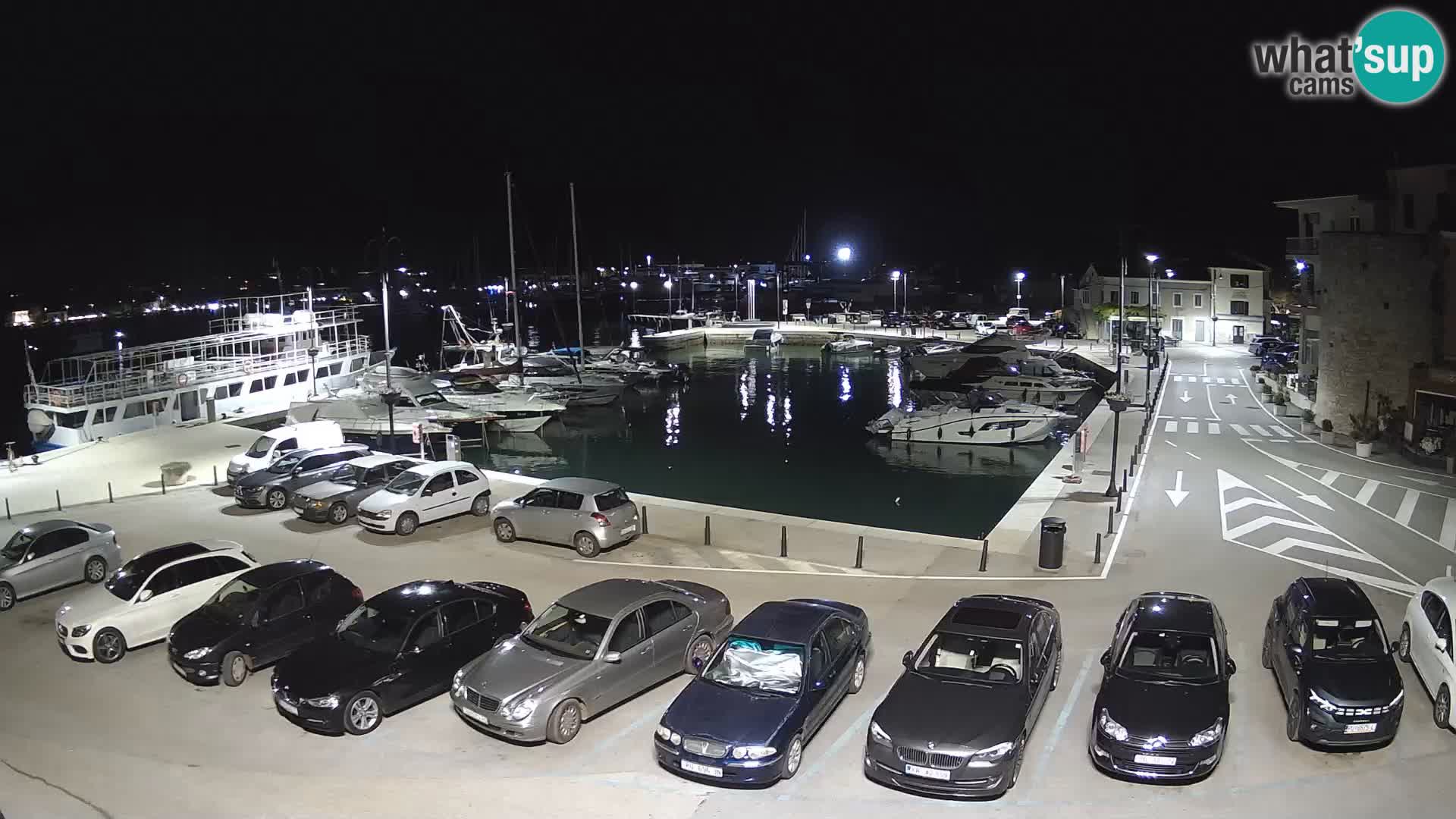 Novigrad | Porporela marina