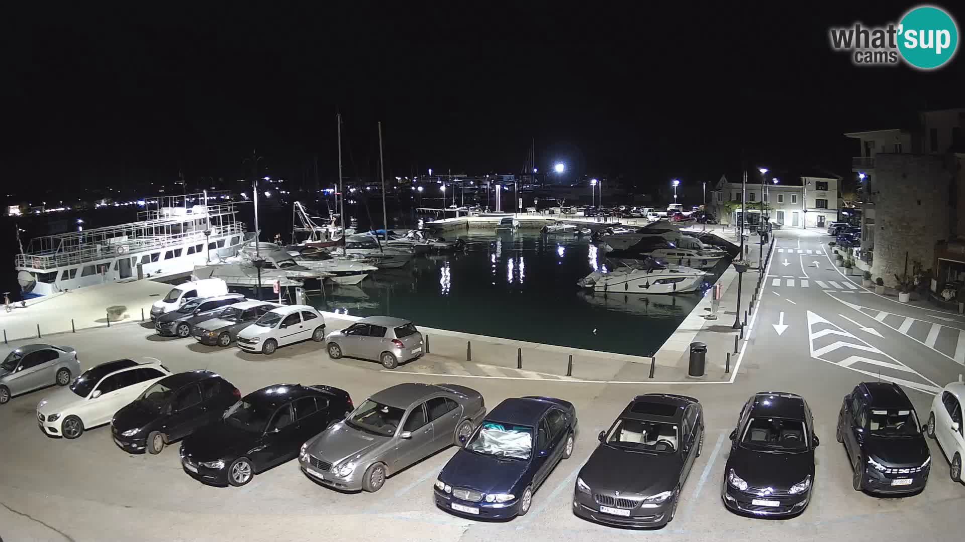 Novigrad | Porporela marina