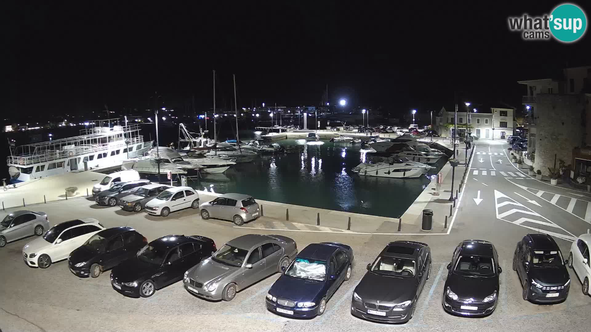 Novigrad | Porporela marina