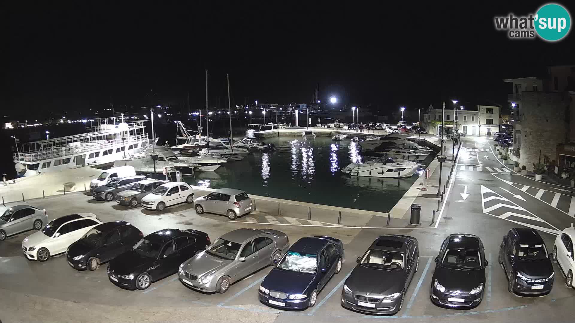 Novigrad | Porporela marina