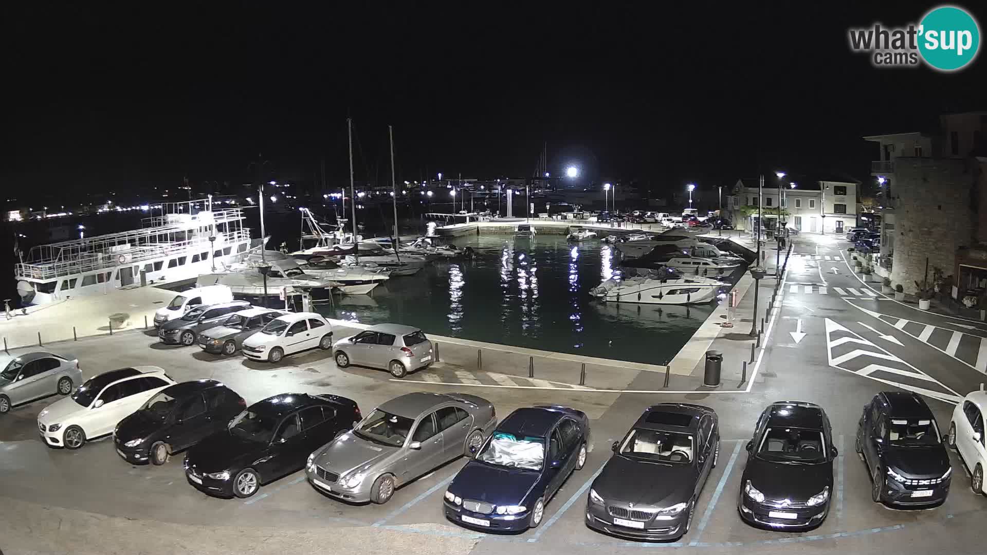 Novigrad | Porporela marina