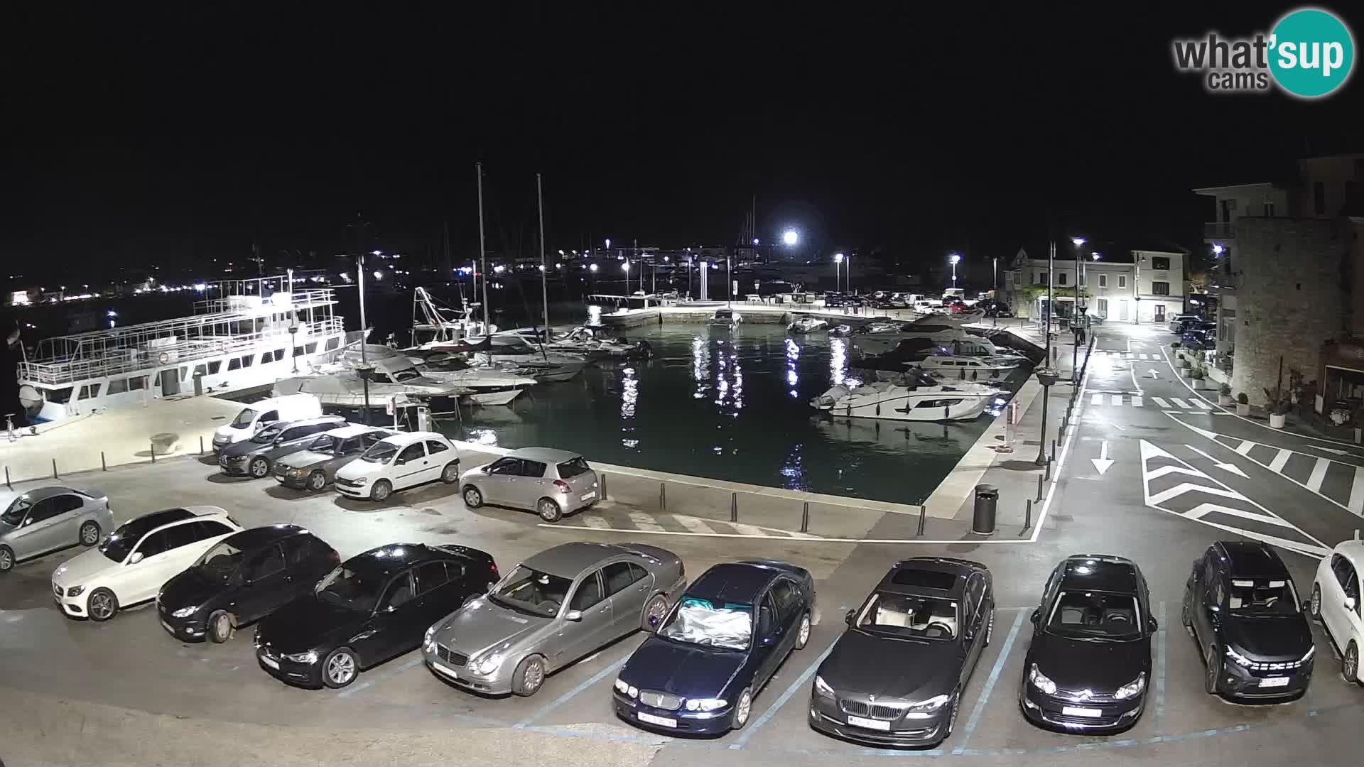 Novigrad | Porporela marina