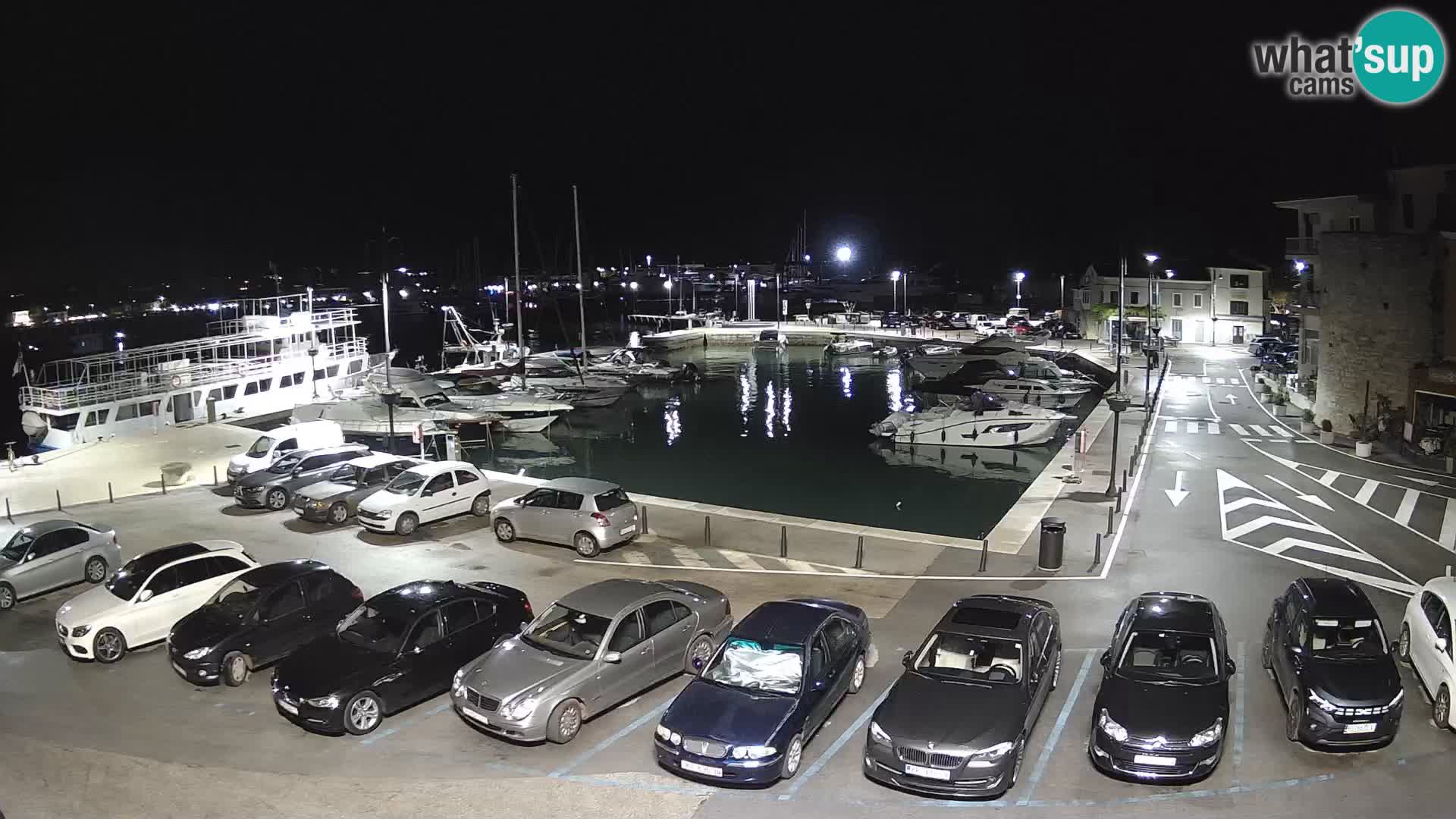 Novigrad | Porporela marina