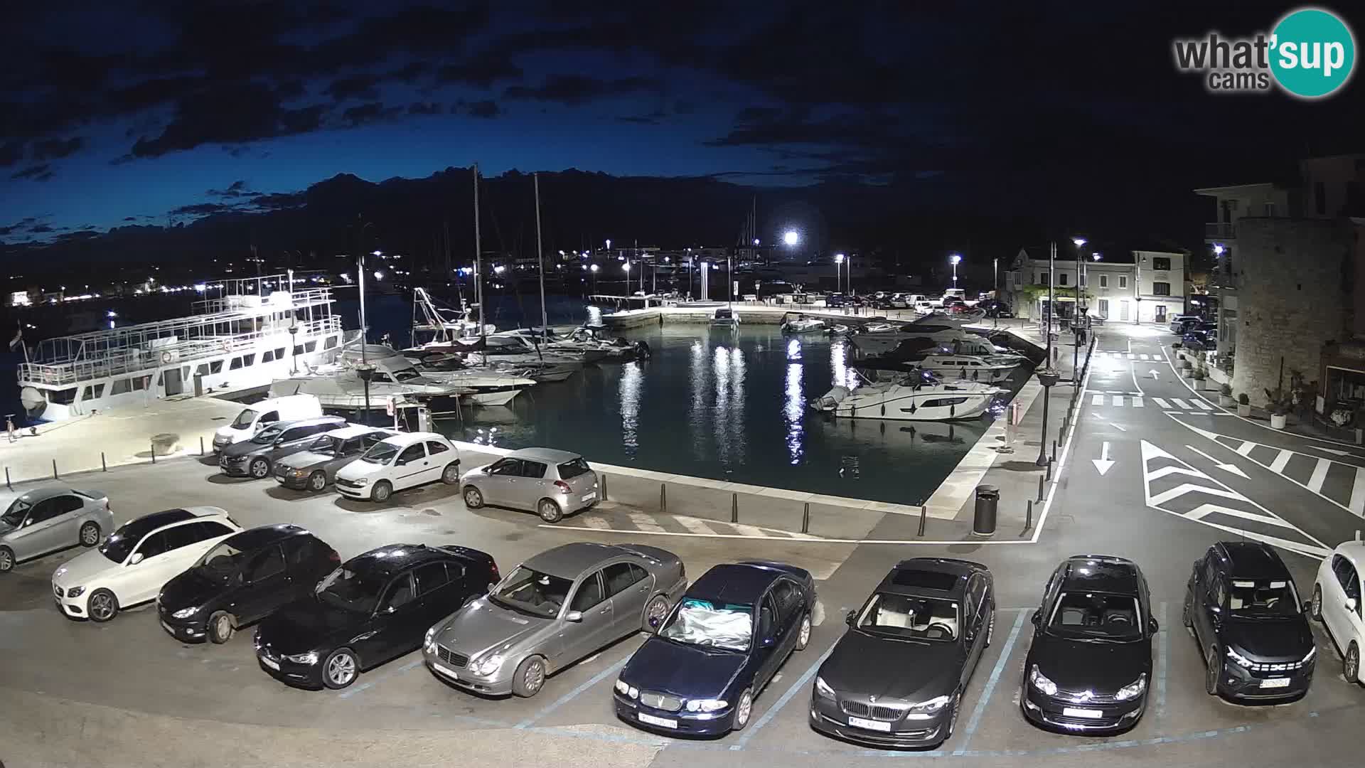 Novigrad | Porporela marina