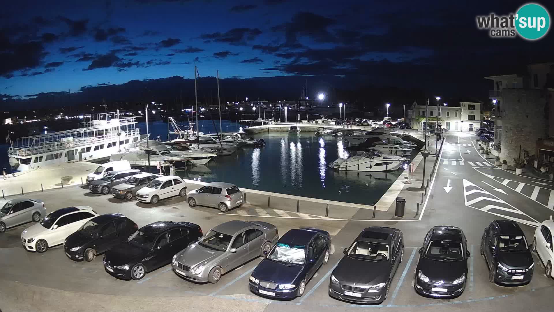 Novigrad | Porporela marina