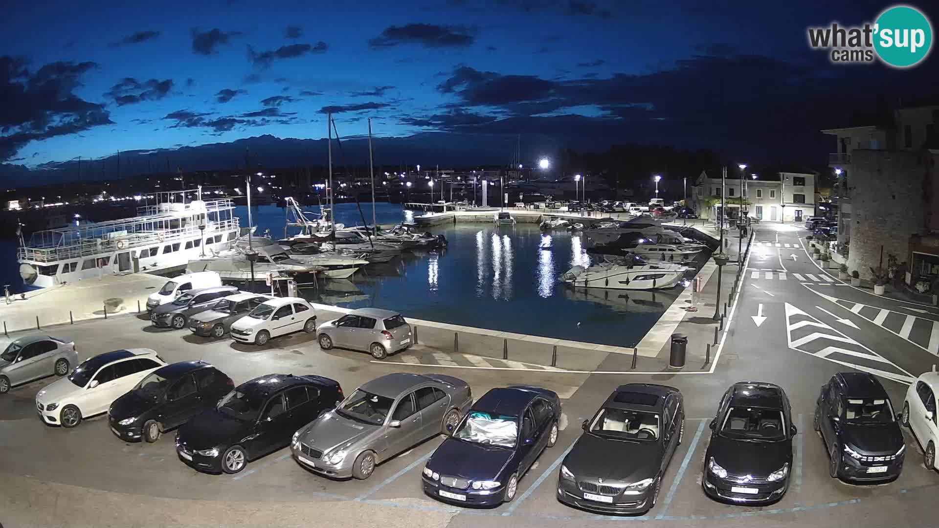 Novigrad | Porporela marina