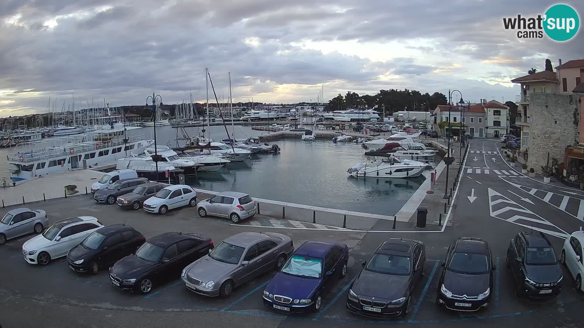Novigrad | Porporela marina