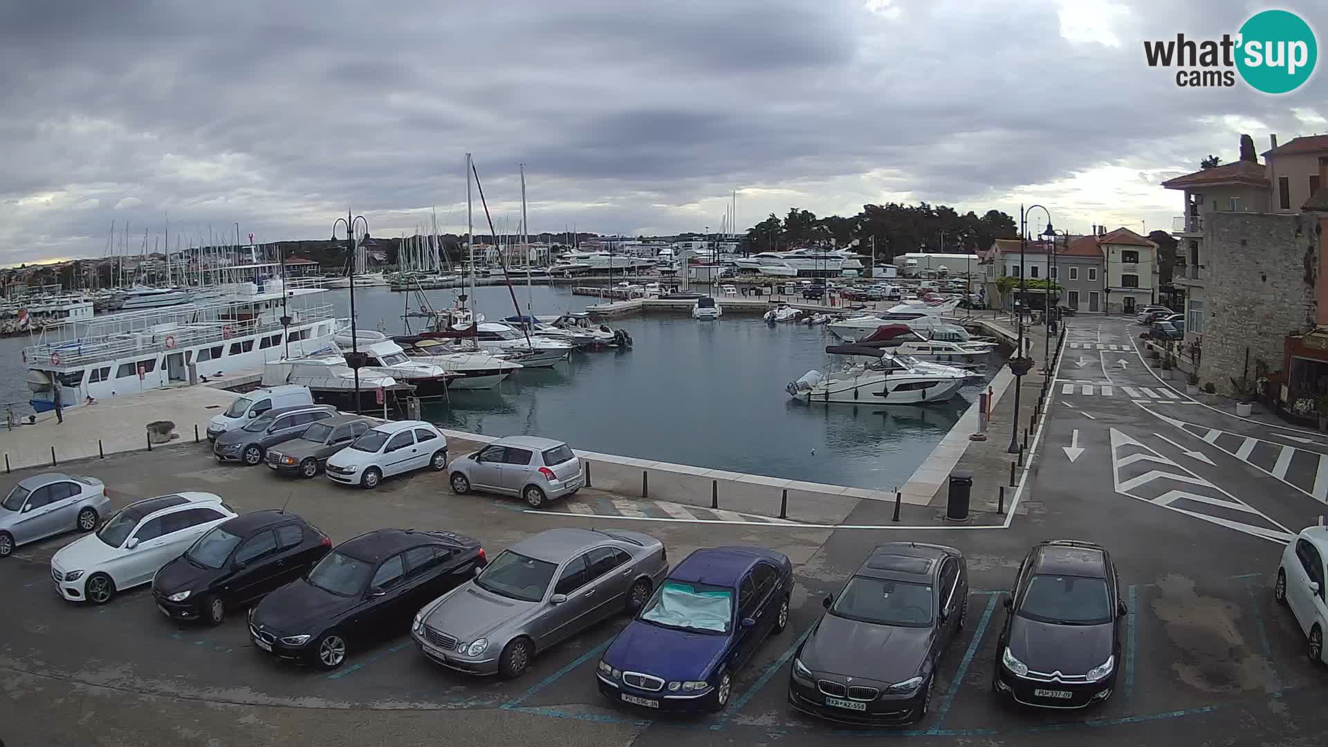 Novigrad | Porporela marina