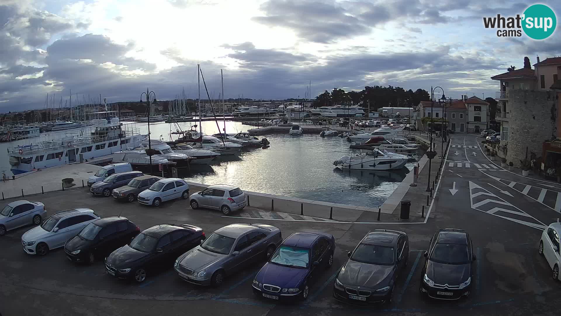 Novigrad | Porporela marina