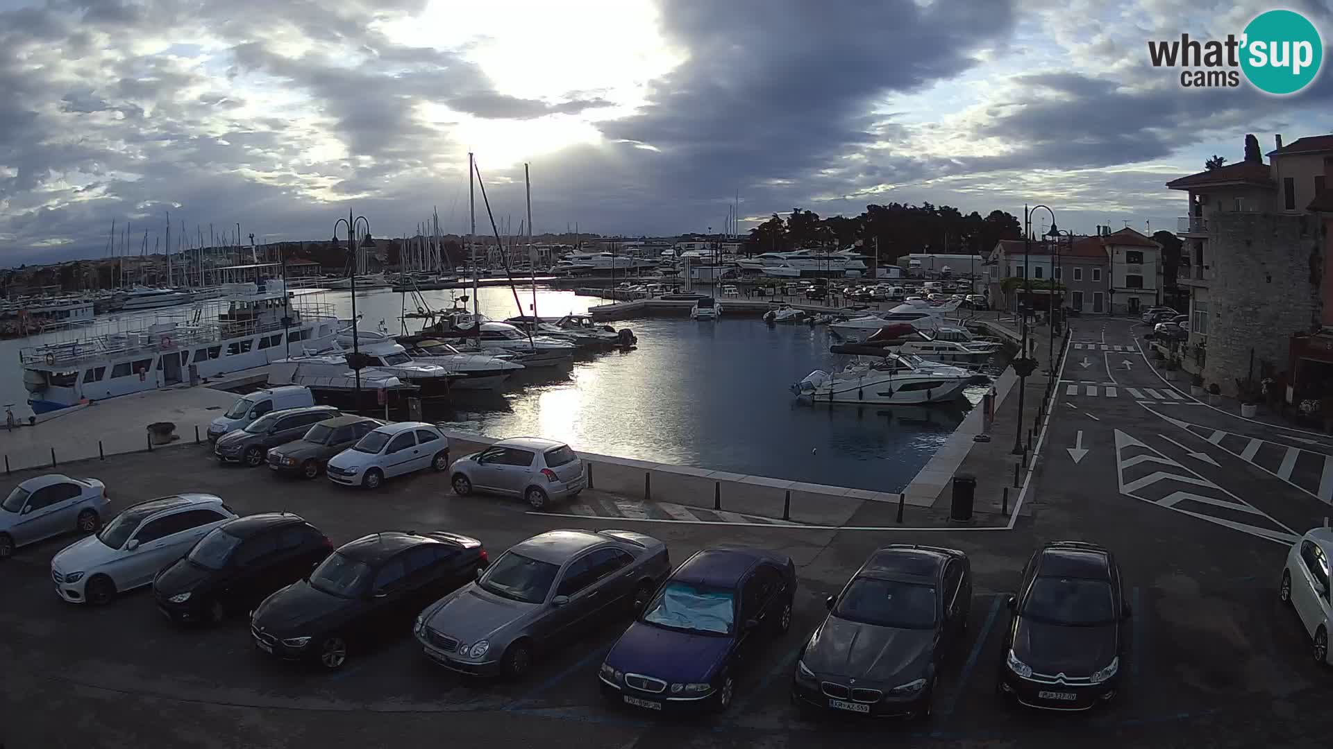 Novigrad | Porporela marina