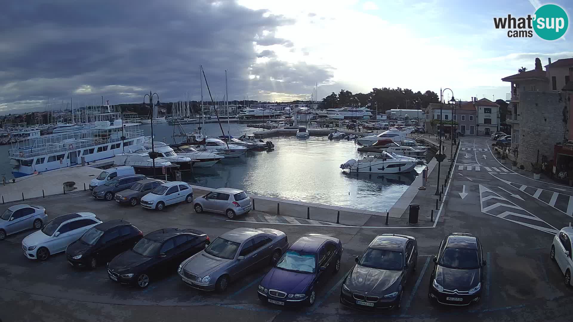 Novigrad | Porporela marina