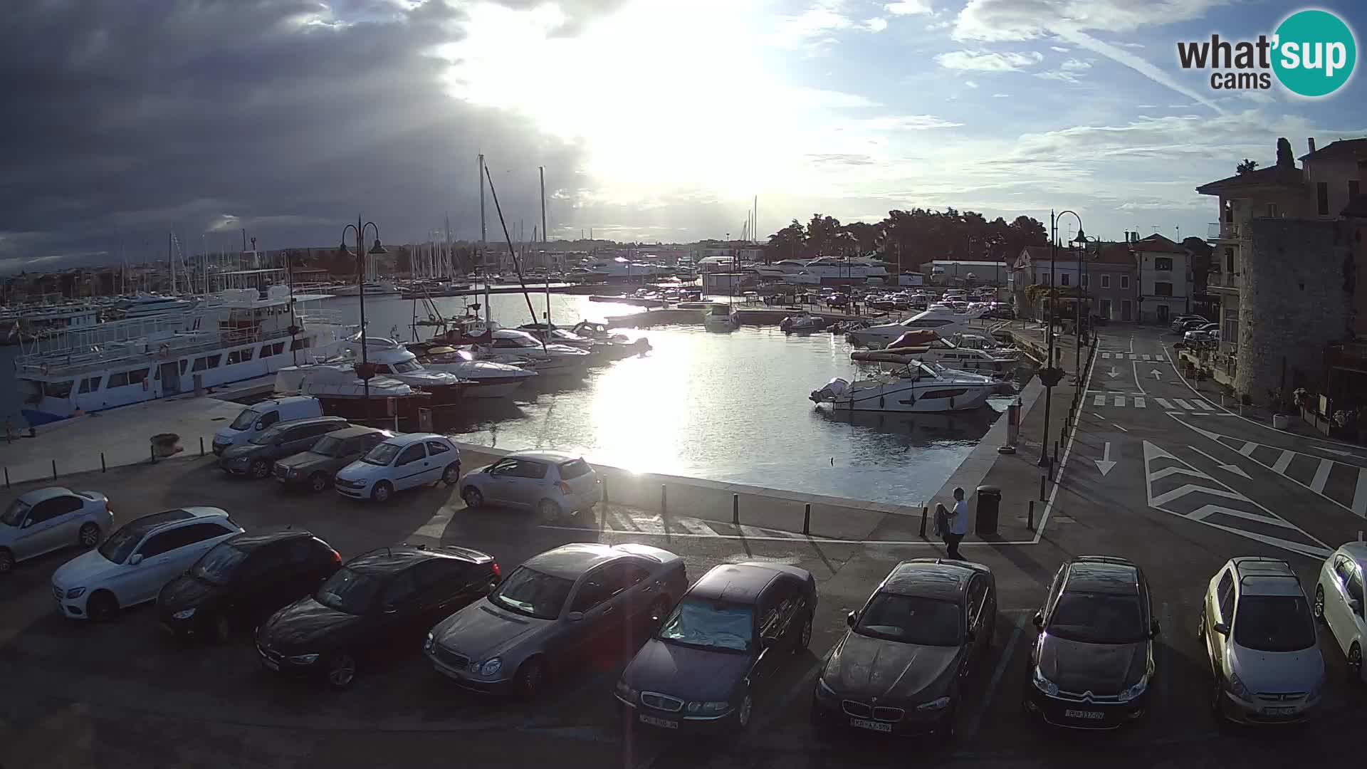 Novigrad | Porporela marina
