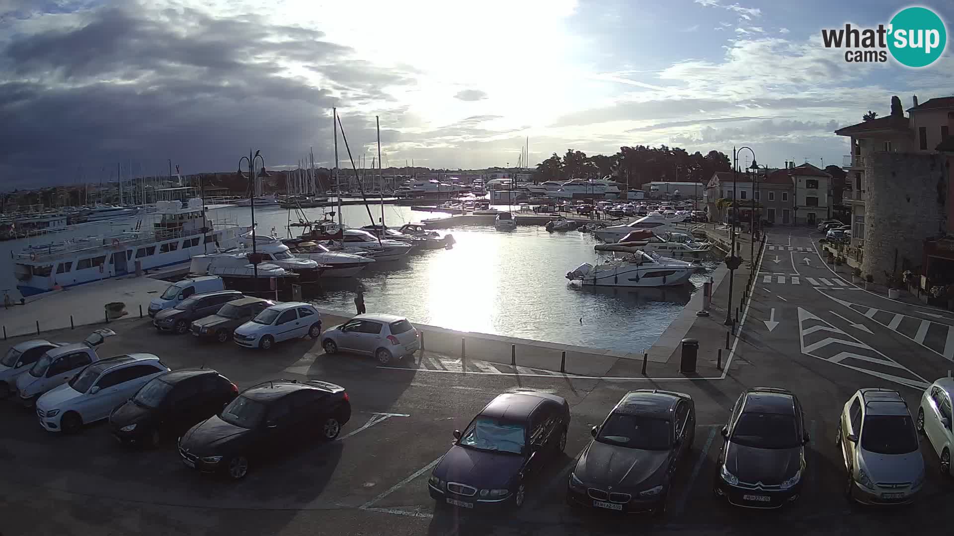 Novigrad | Porporela marina