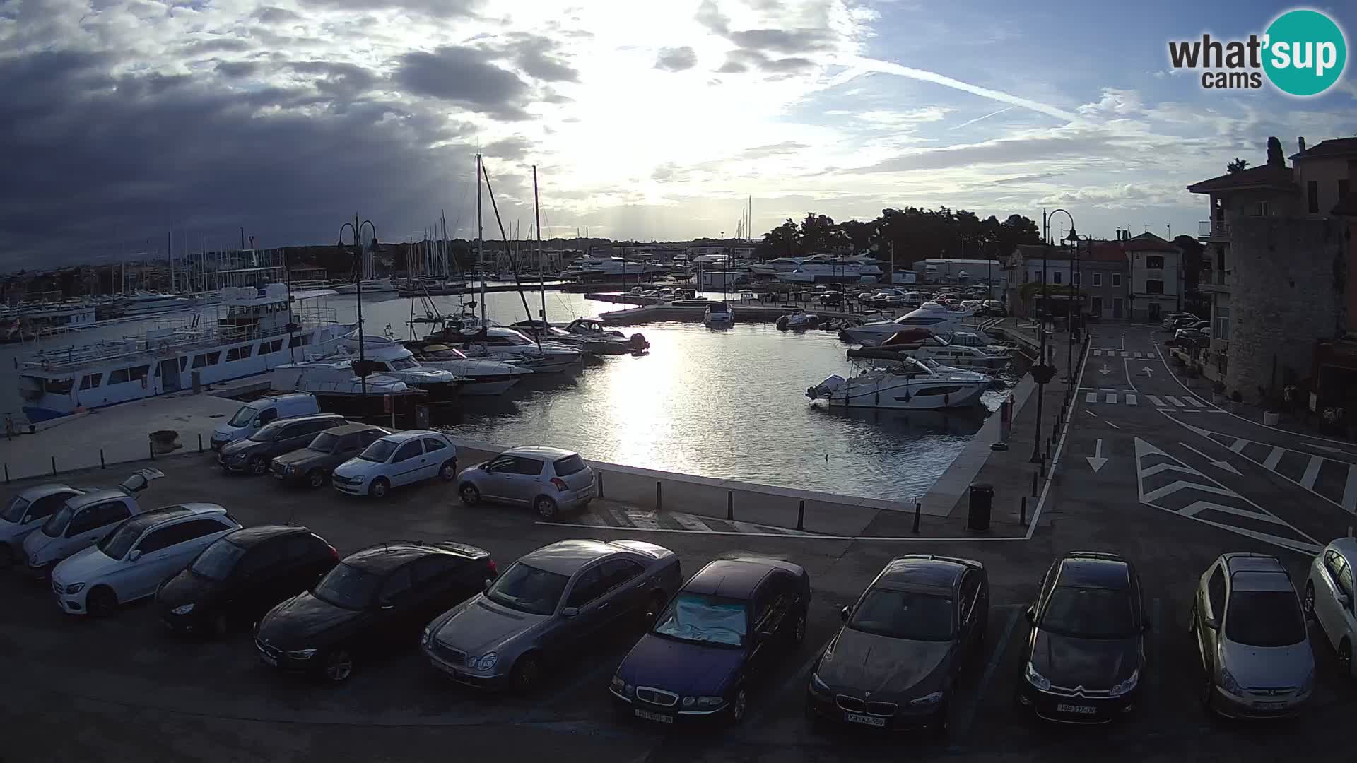 Novigrad | Porporela marina