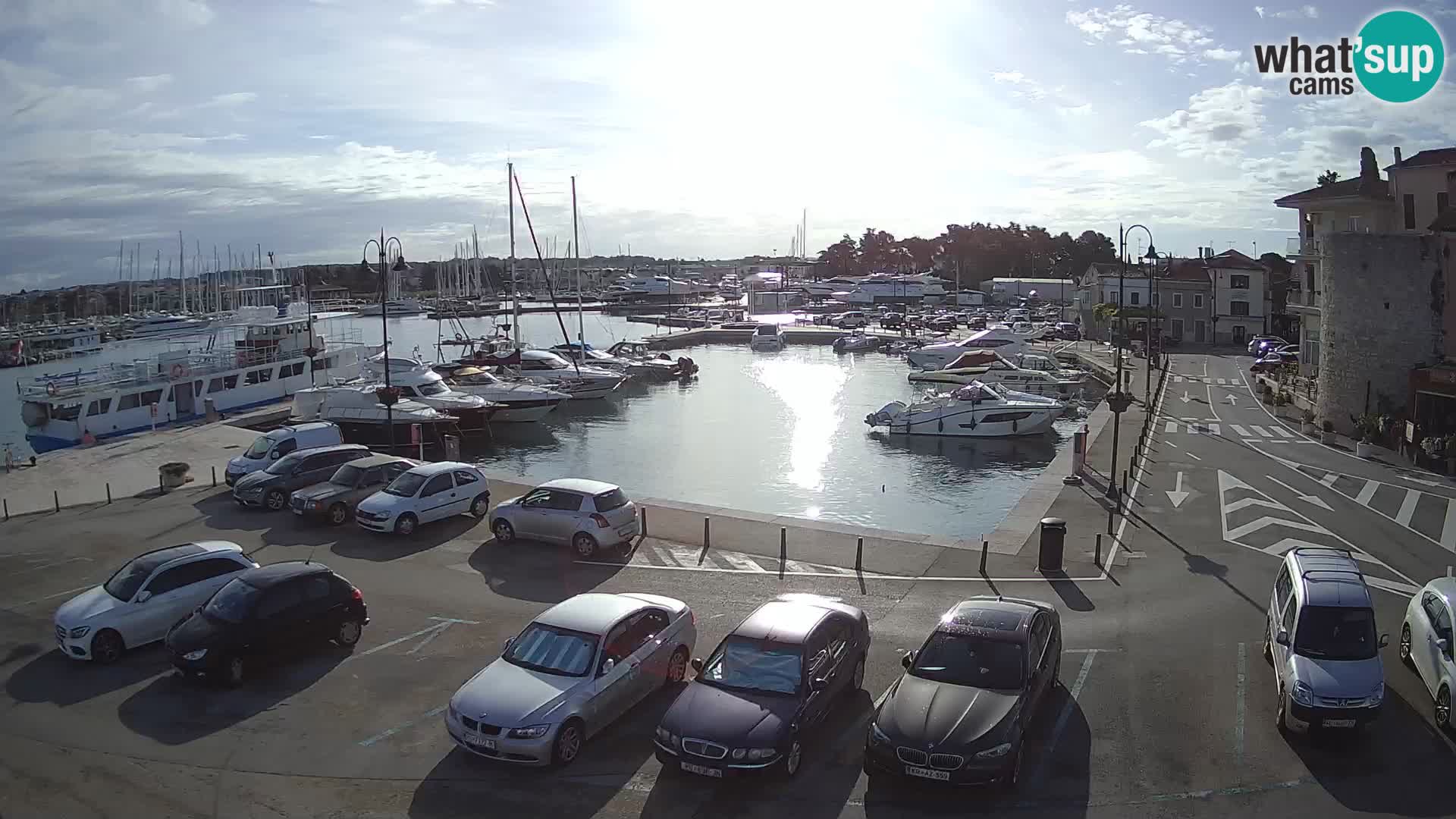 Novigrad | Porporela marina