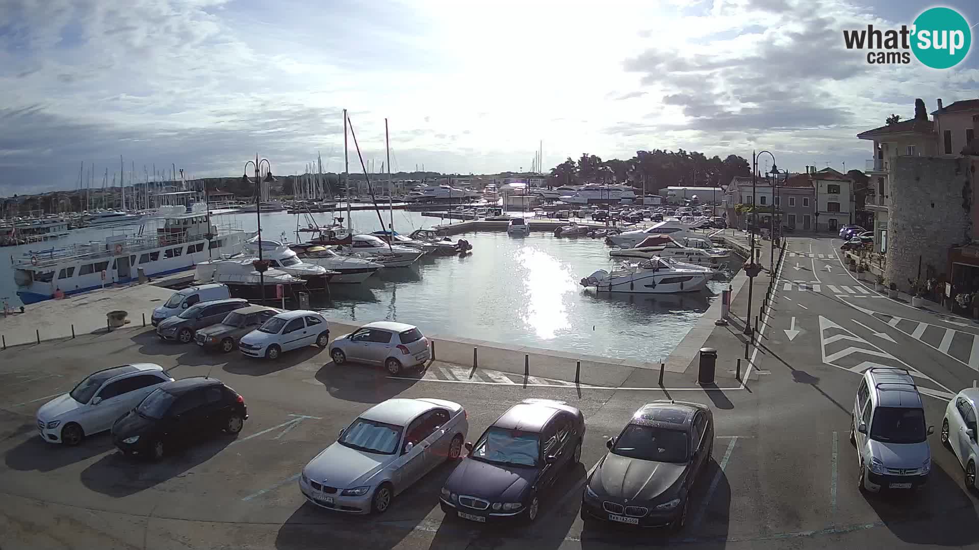 Novigrad | Porporela marina