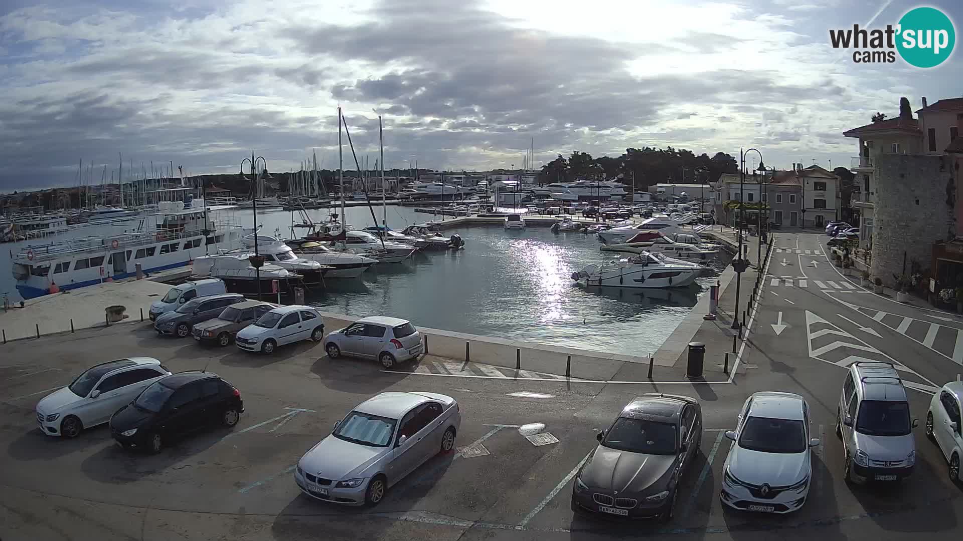 Novigrad | Porporela marina