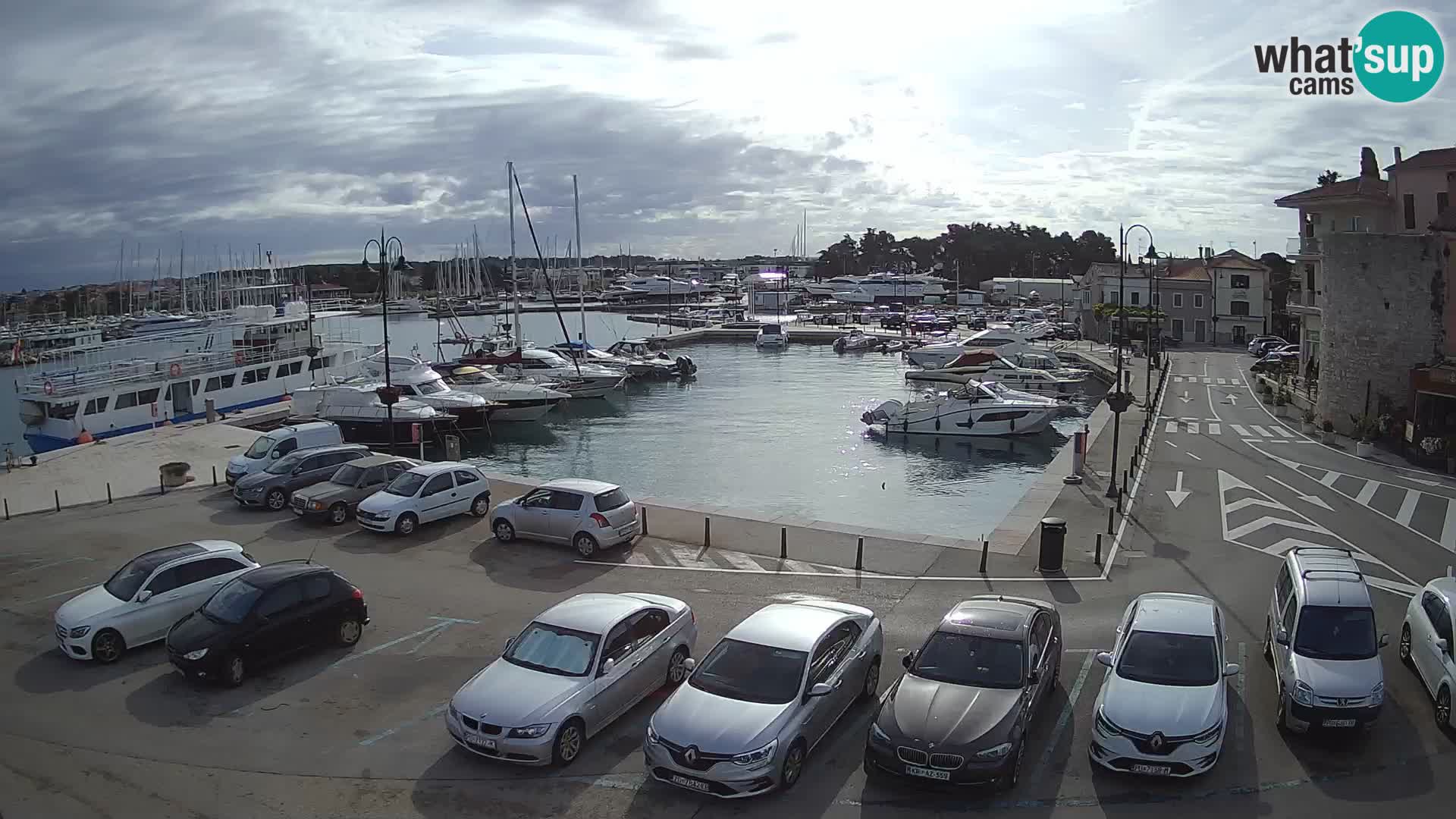 Novigrad | Porporela marina
