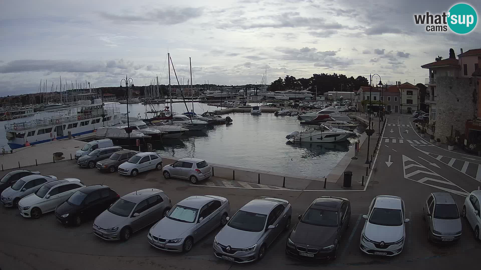 Novigrad | Porporela marina