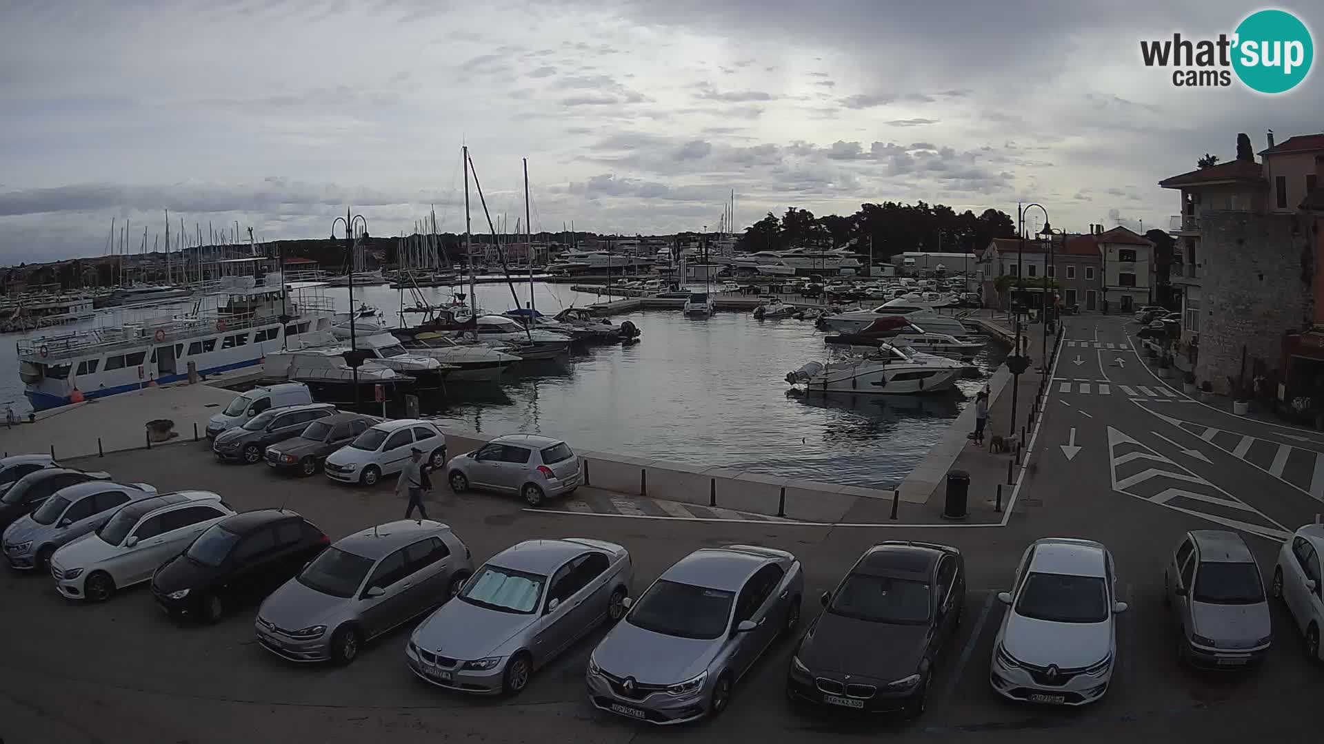 Novigrad | Porporela marina
