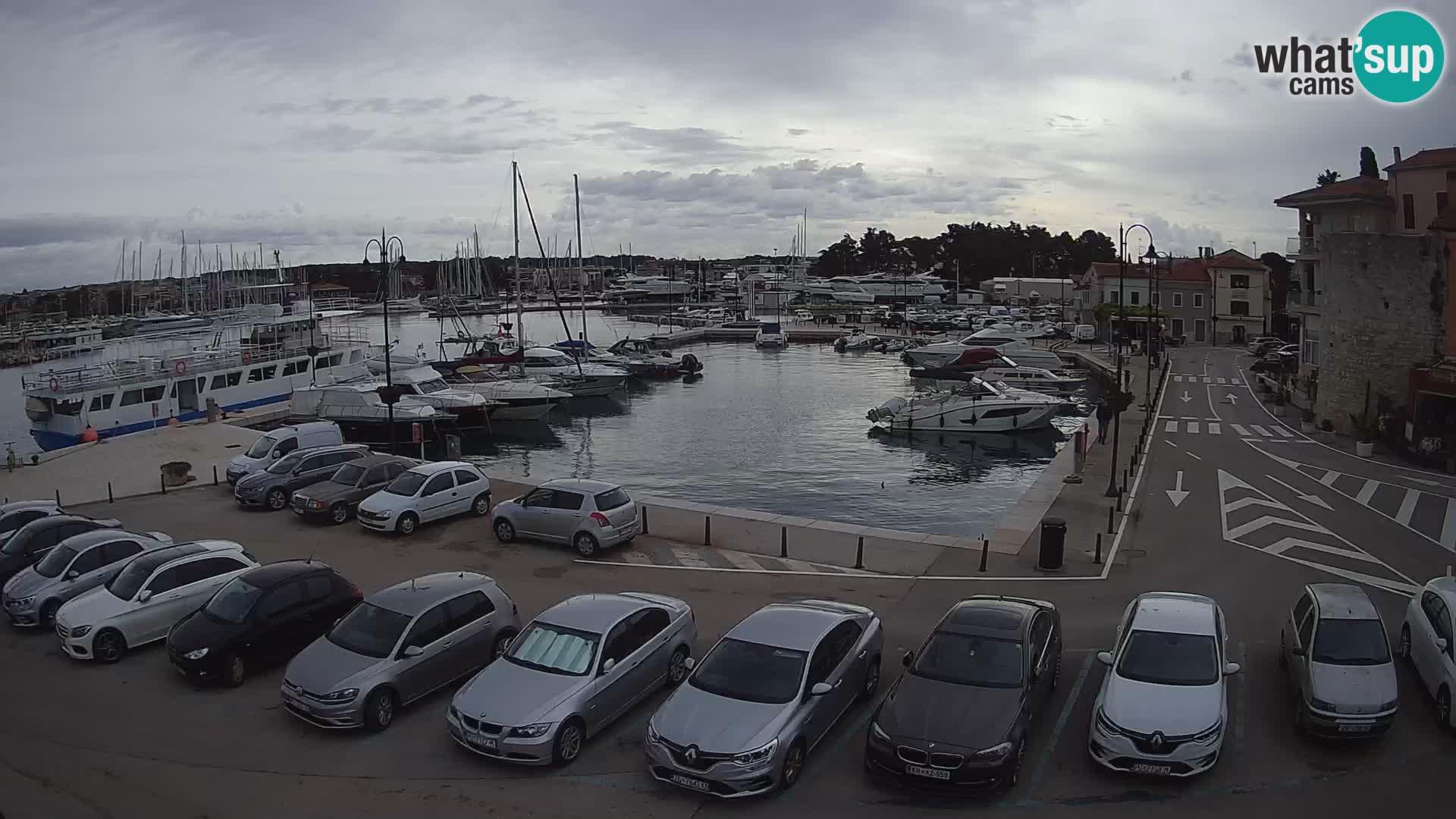 Novigrad | Porporela marina