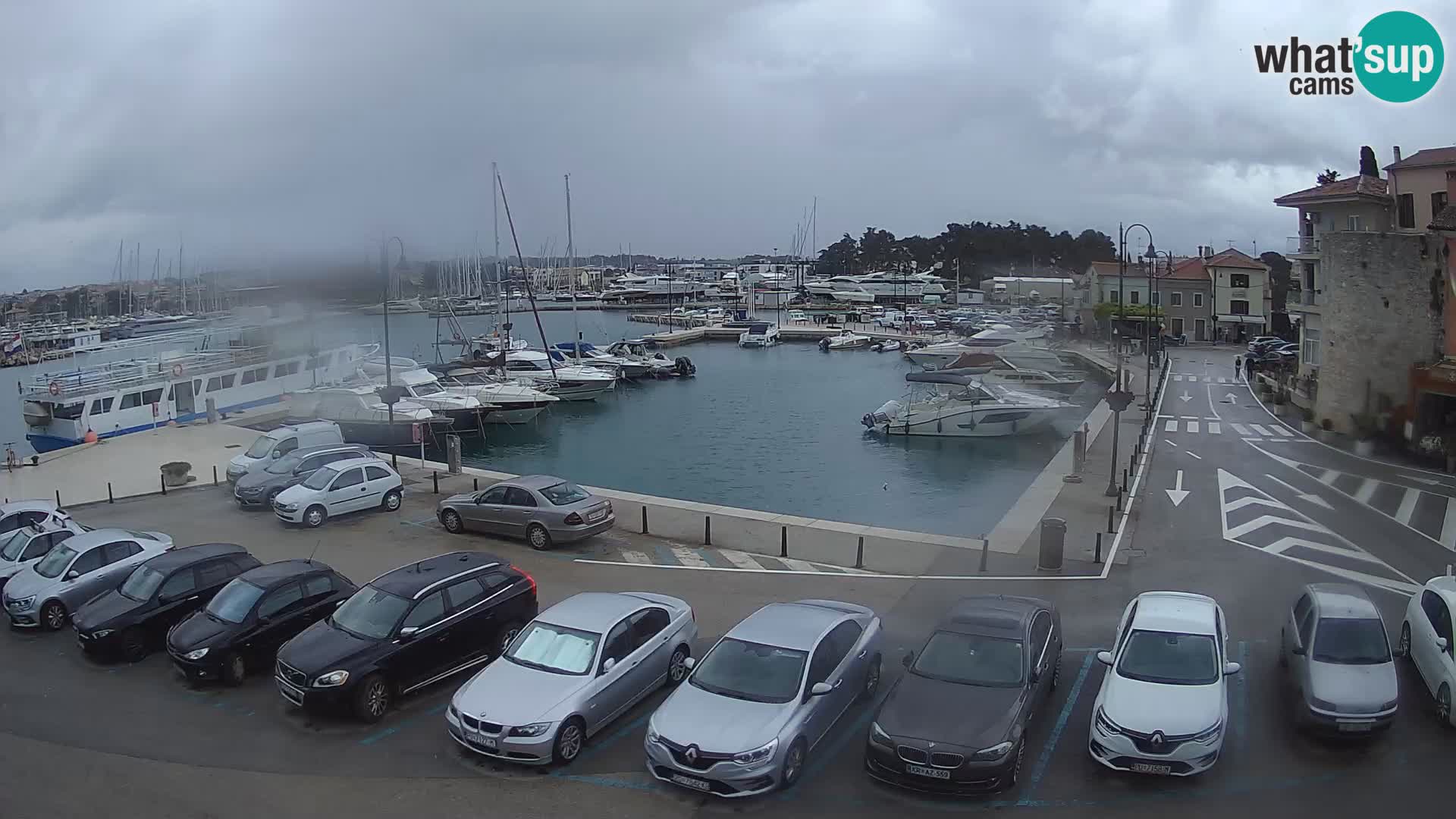 Novigrad | Porporela marina