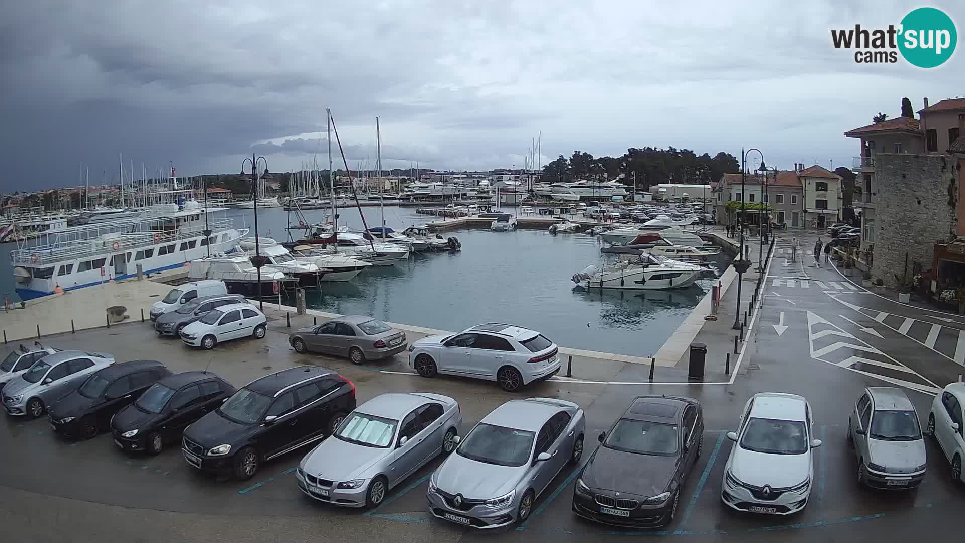 Novigrad | Porporela marina