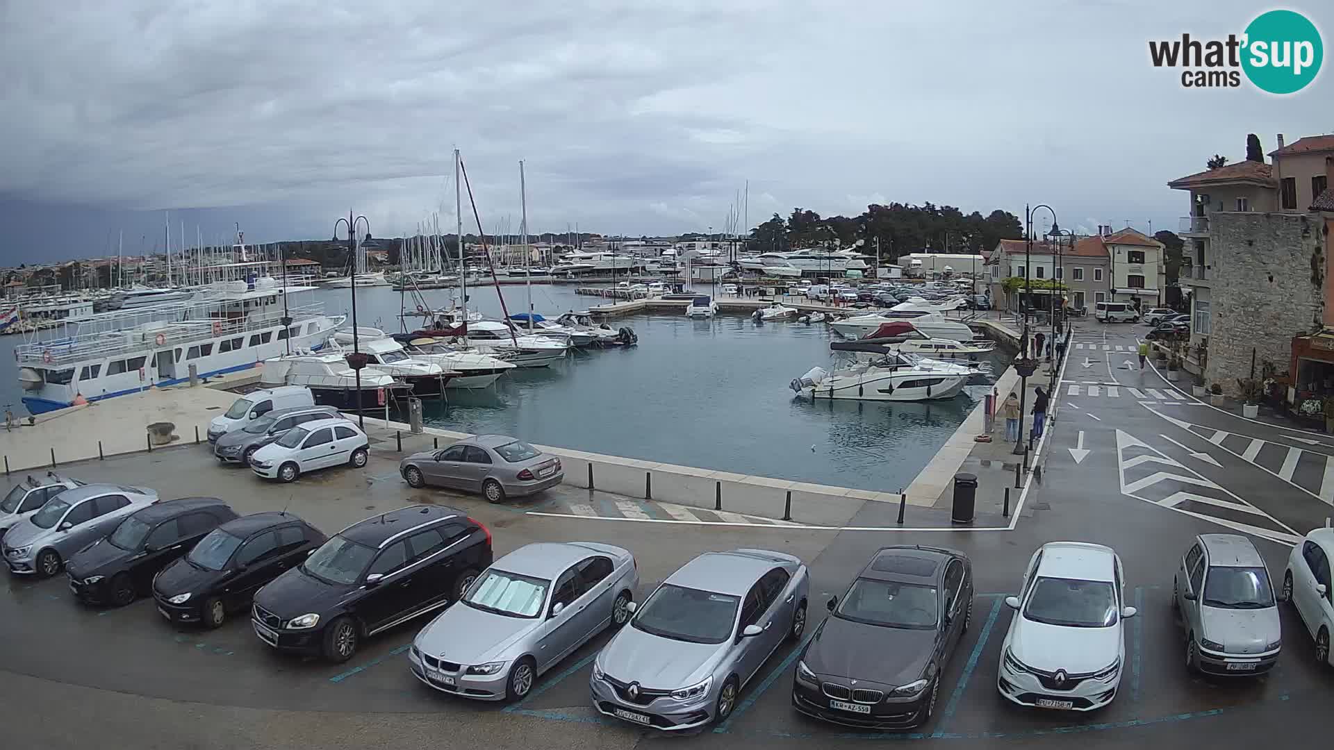 Novigrad | Porporela marina