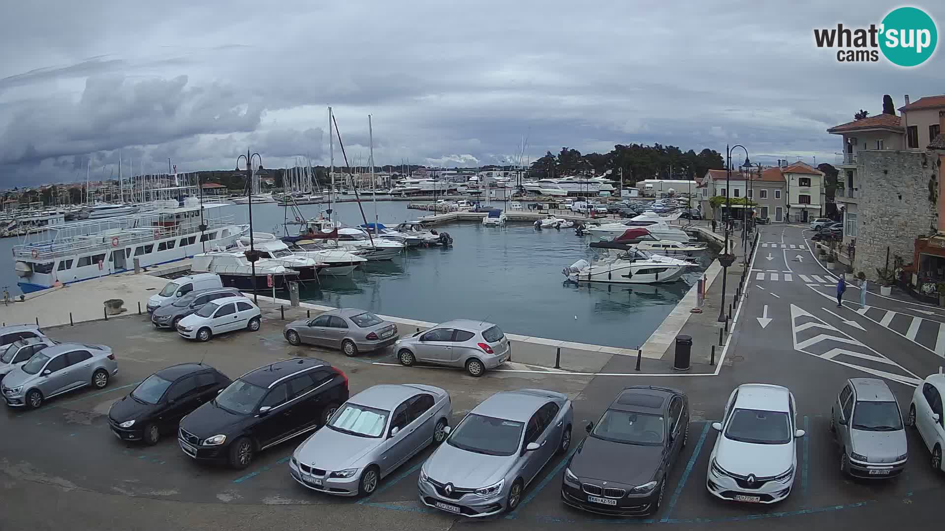 Novigrad | Porporela marina