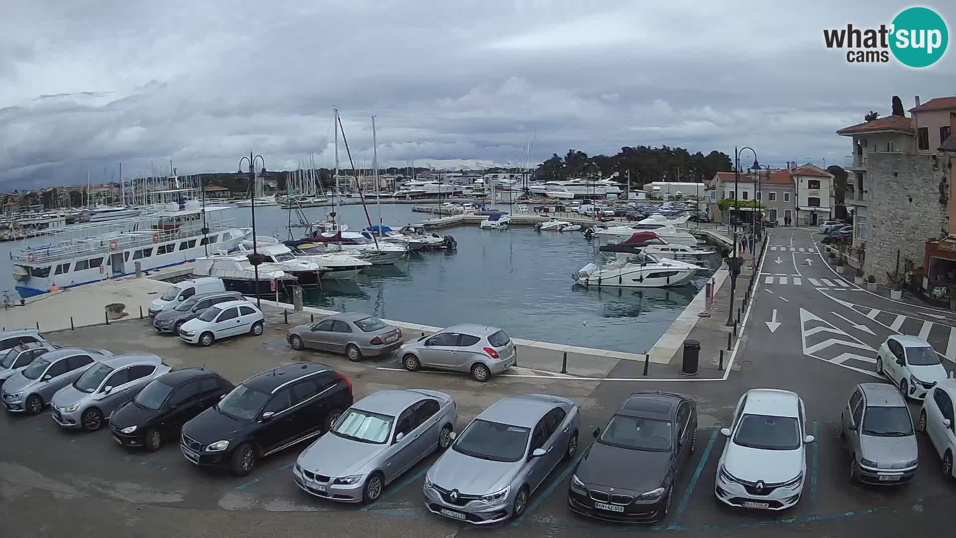 Novigrad | Porporela marina