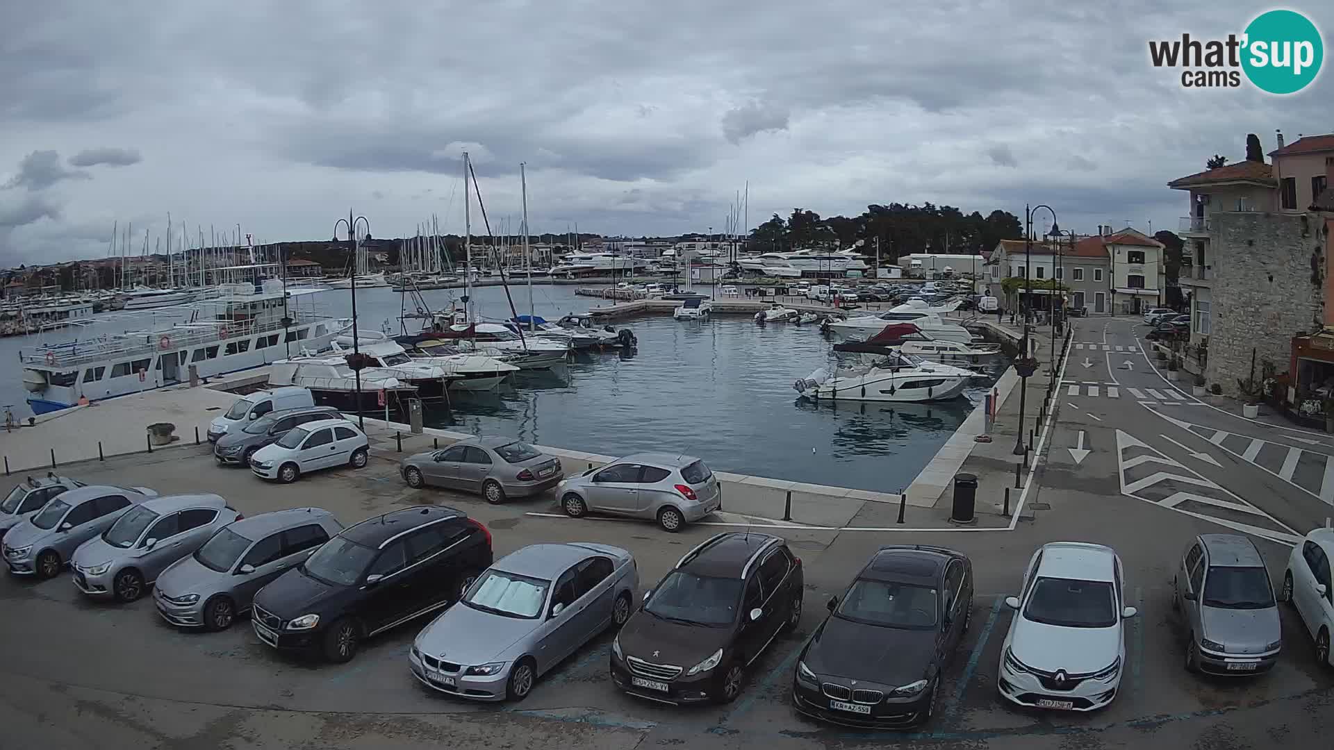 Novigrad | Porporela marina