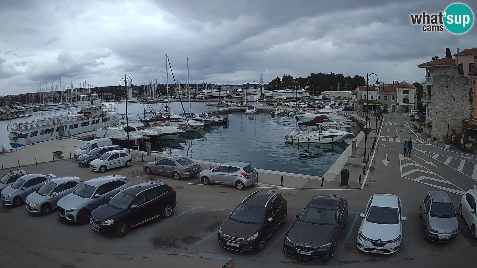 Novigrad | Porporela marina
