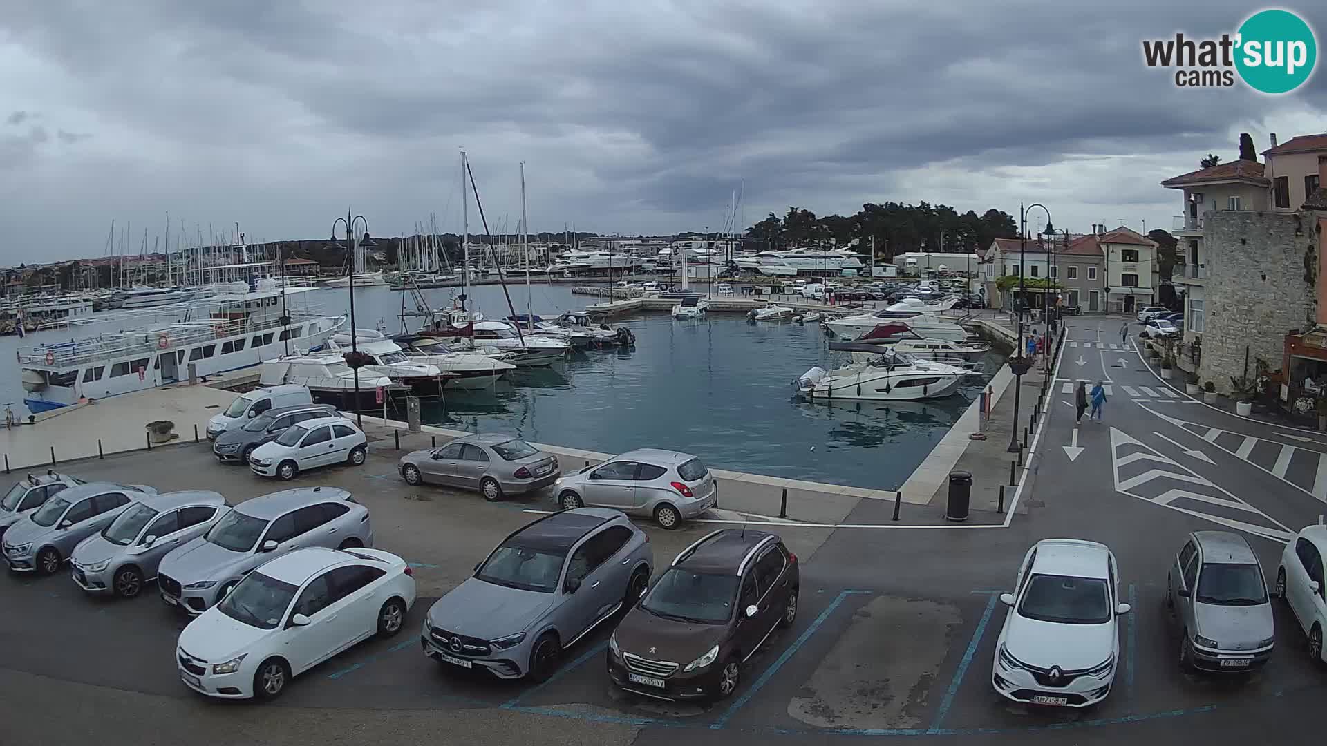 Novigrad | Porporela marina