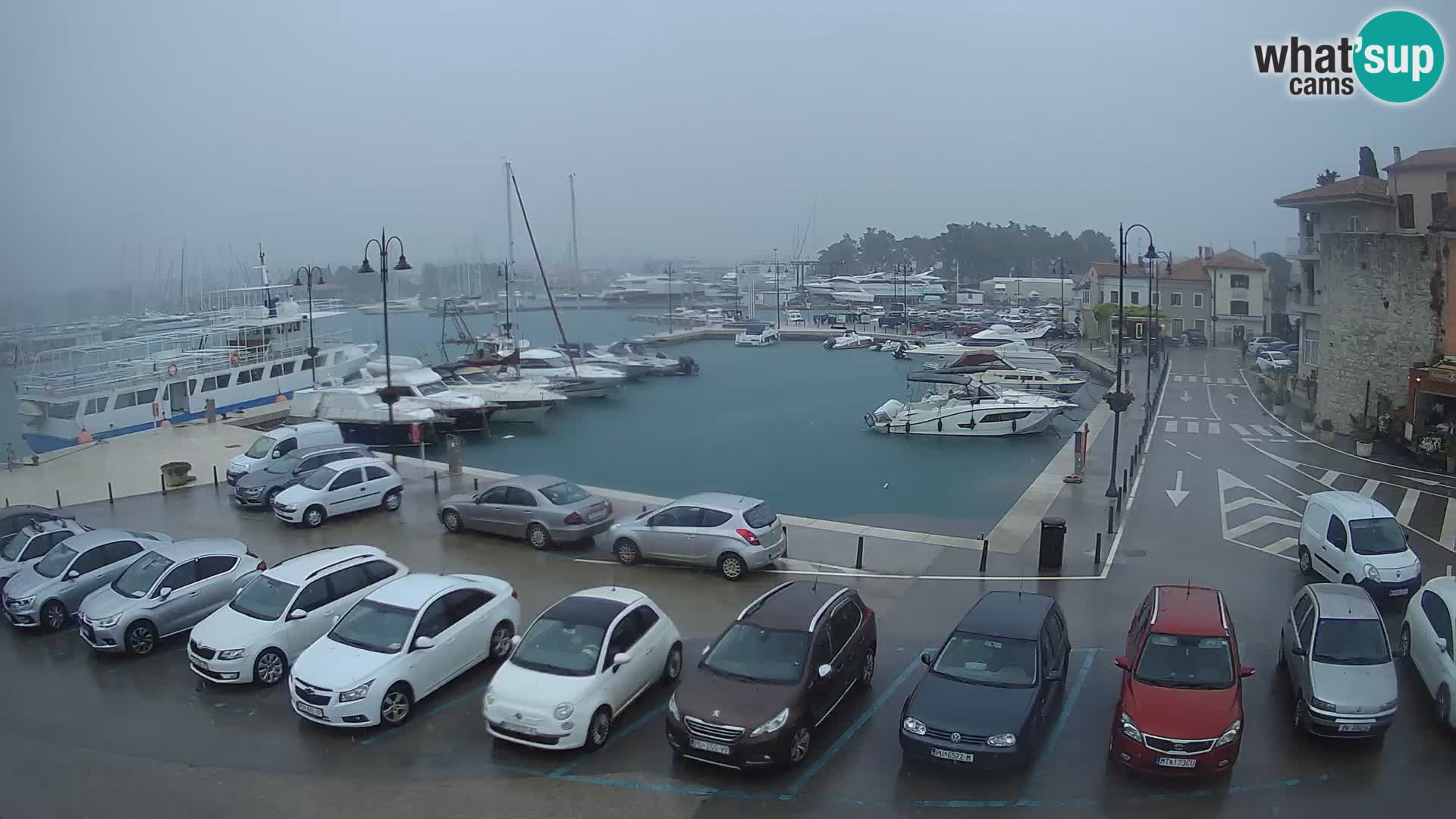 Novigrad | Porporela marina