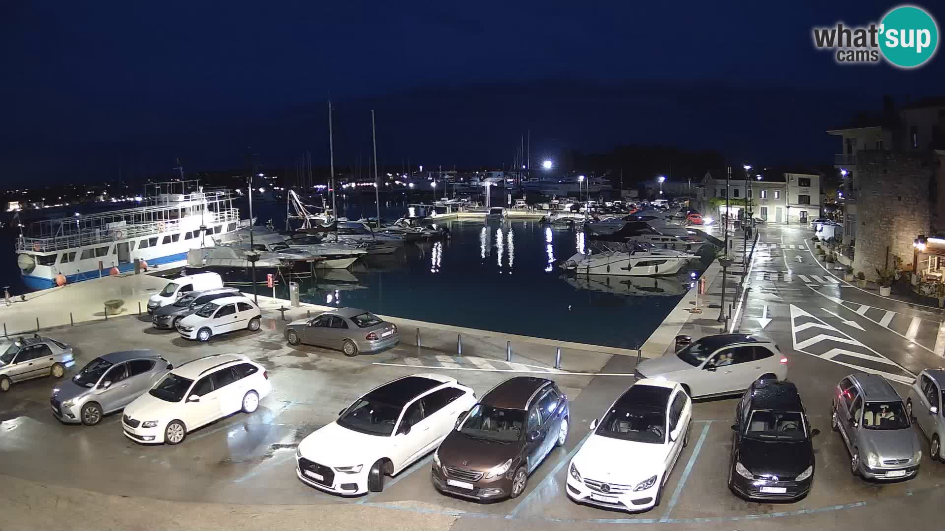 Novigrad | Porporela marina