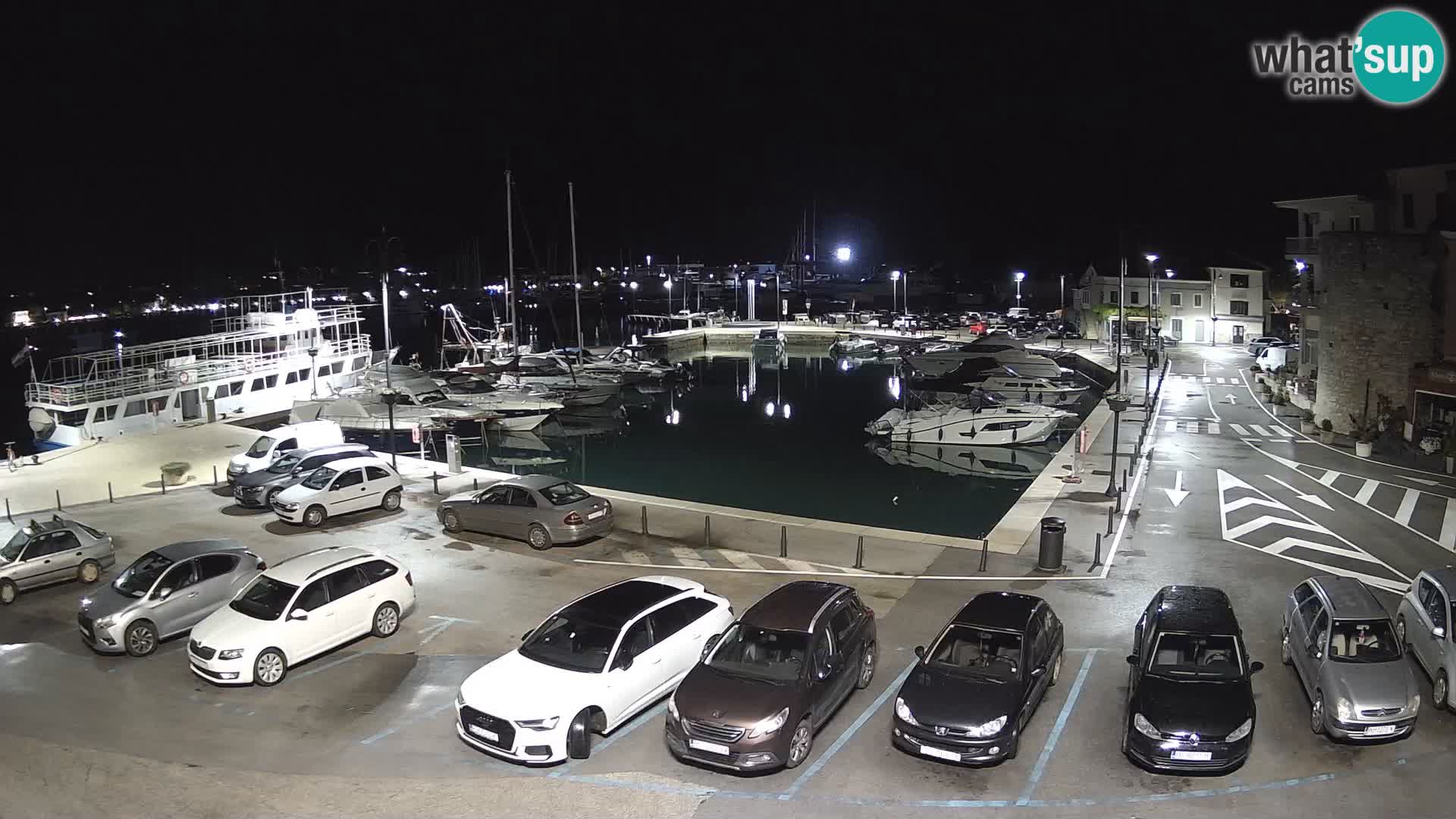 Novigrad | Porporela marina