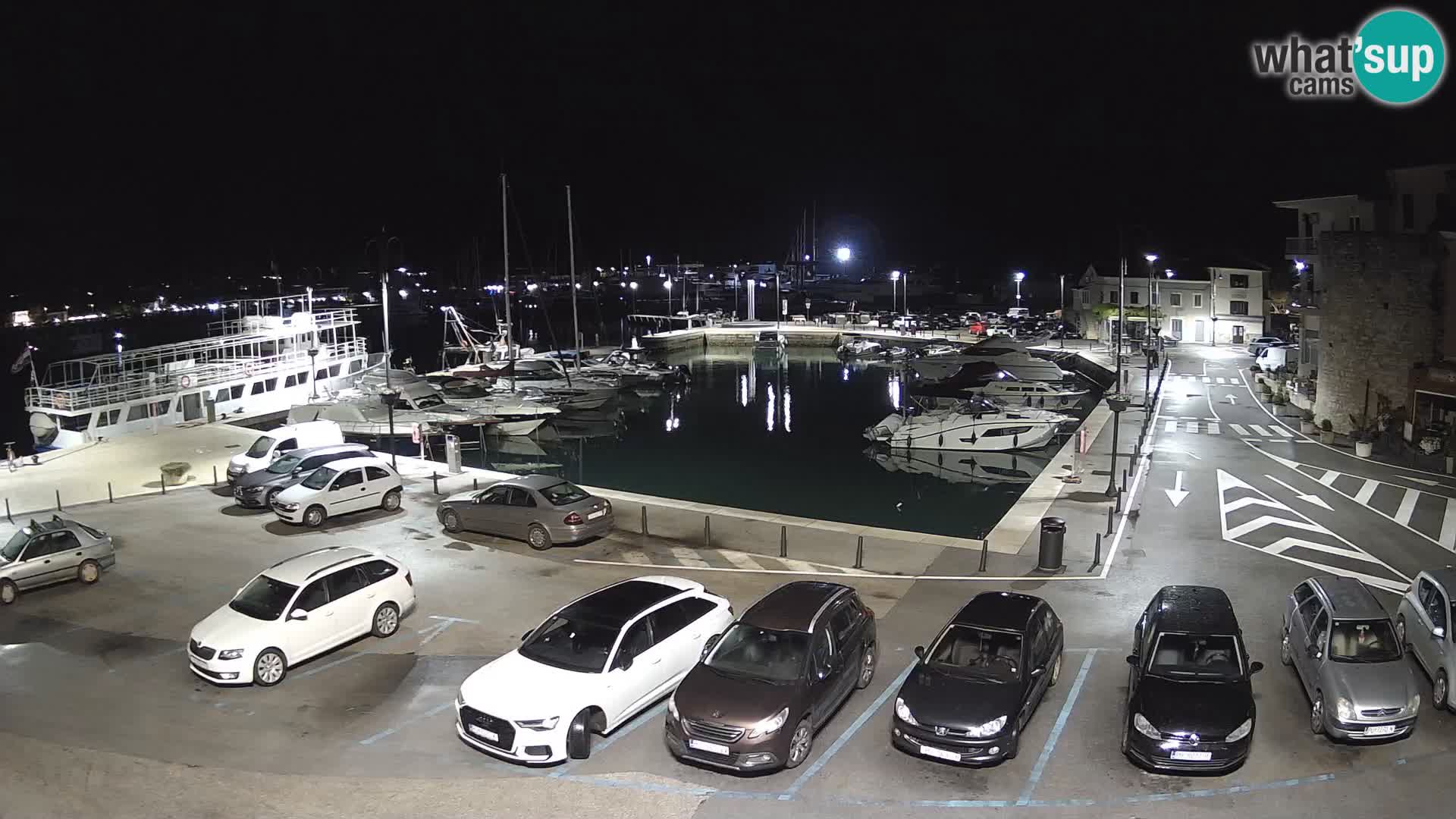 Novigrad | Porporela marina